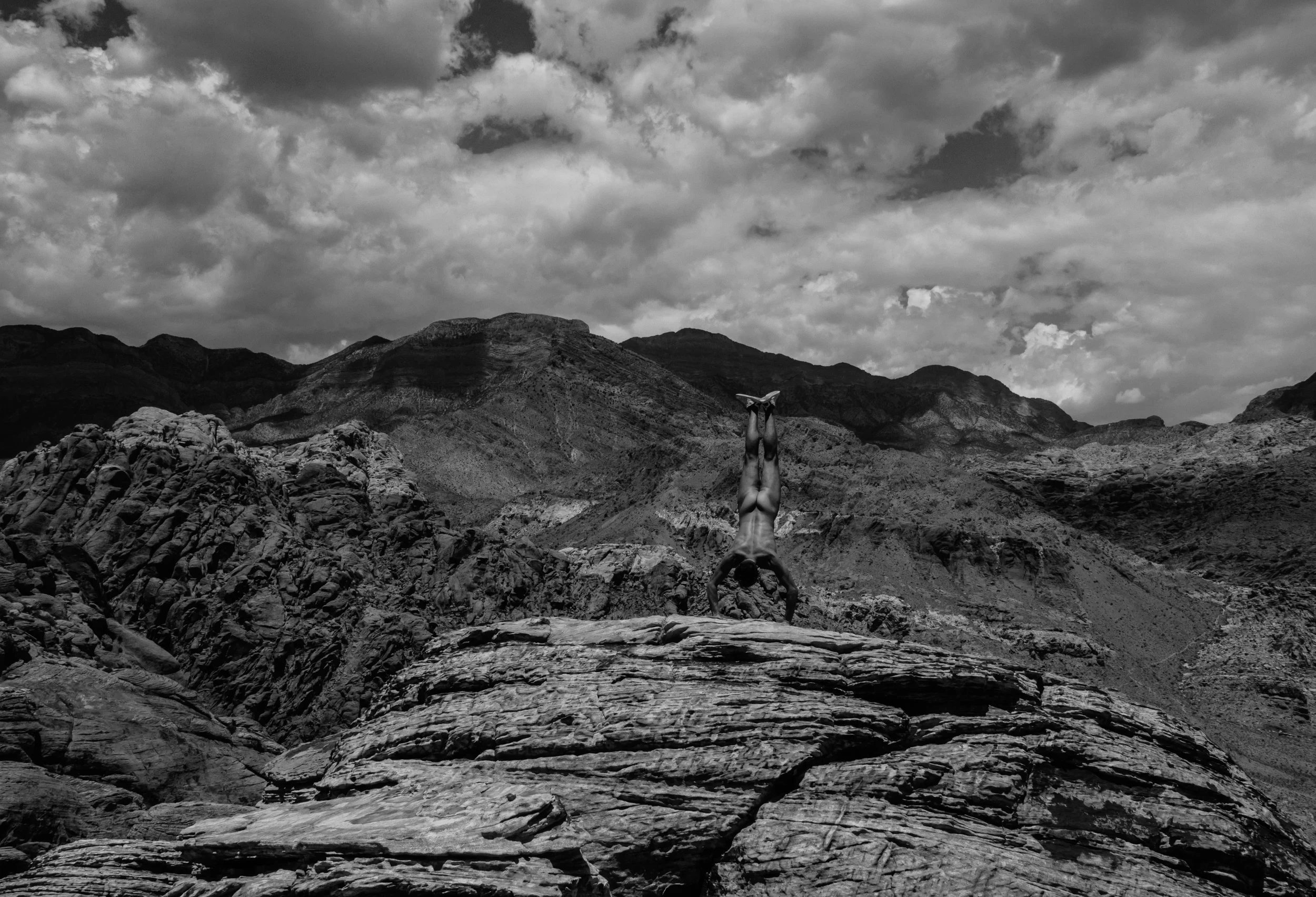 NormalMag_TyDamelio_Revtar Photography-1.jpg