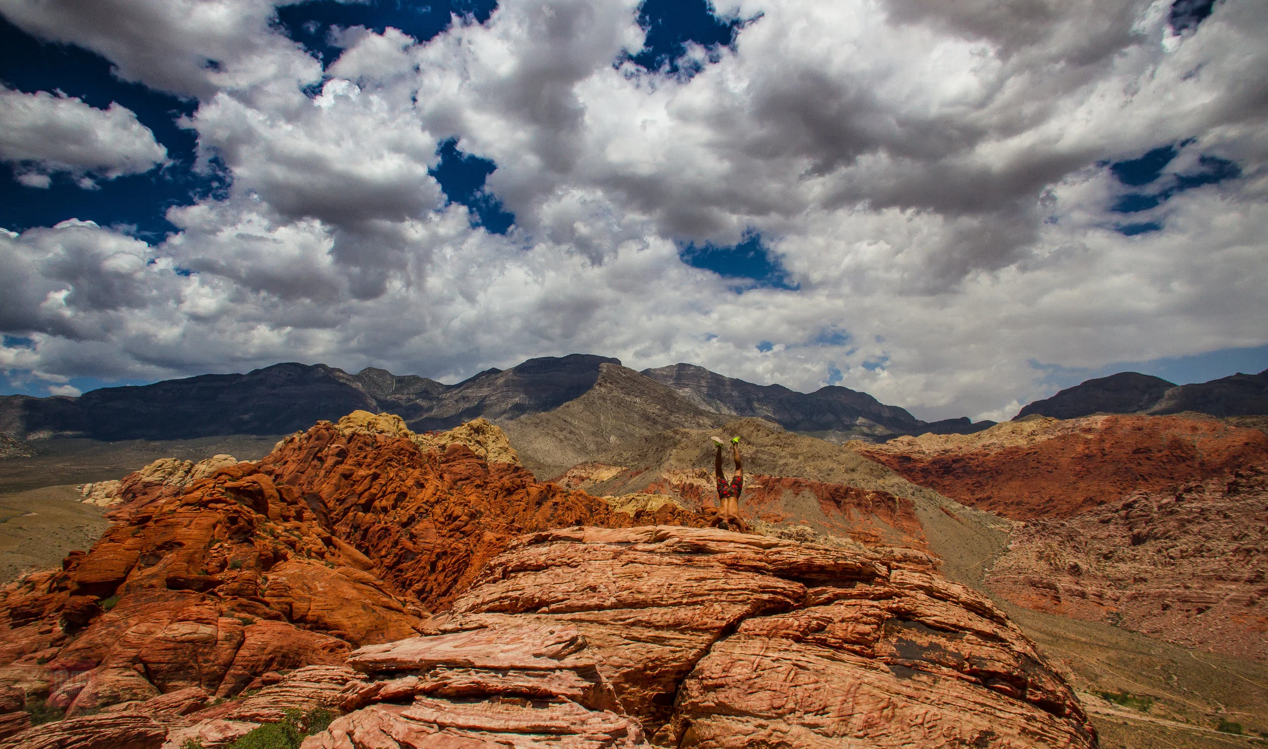 WildWest_2016_Revtar Photography-1.jpg