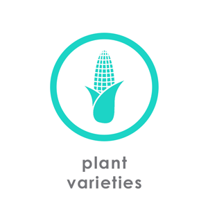 plant_varieties.png