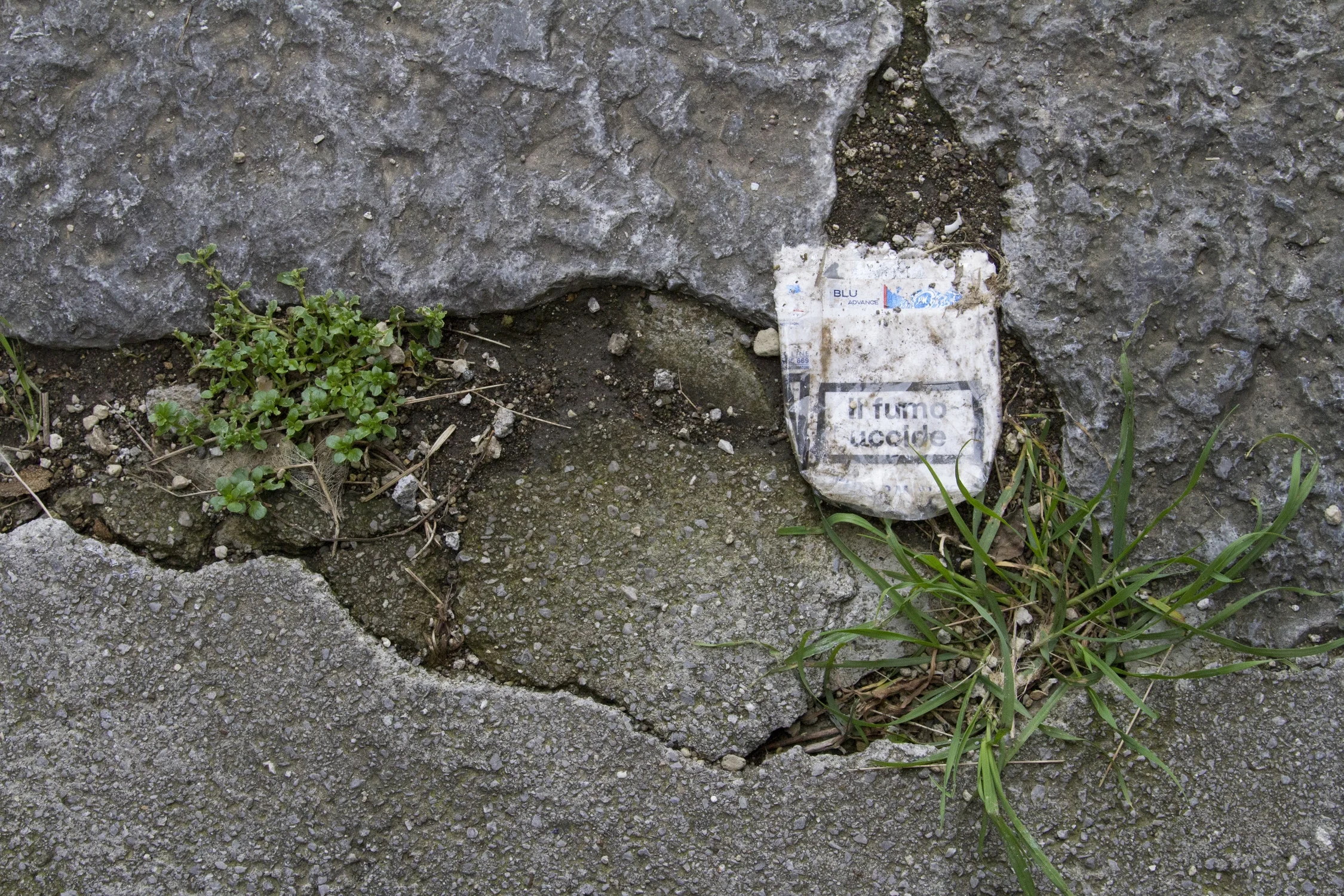 IMG_2309 copy copy (1).jpg