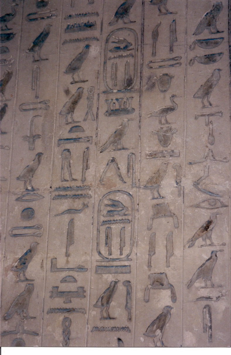 Fig. 3.5. A close-up view of the wall of the Tomb of Unis..jpg