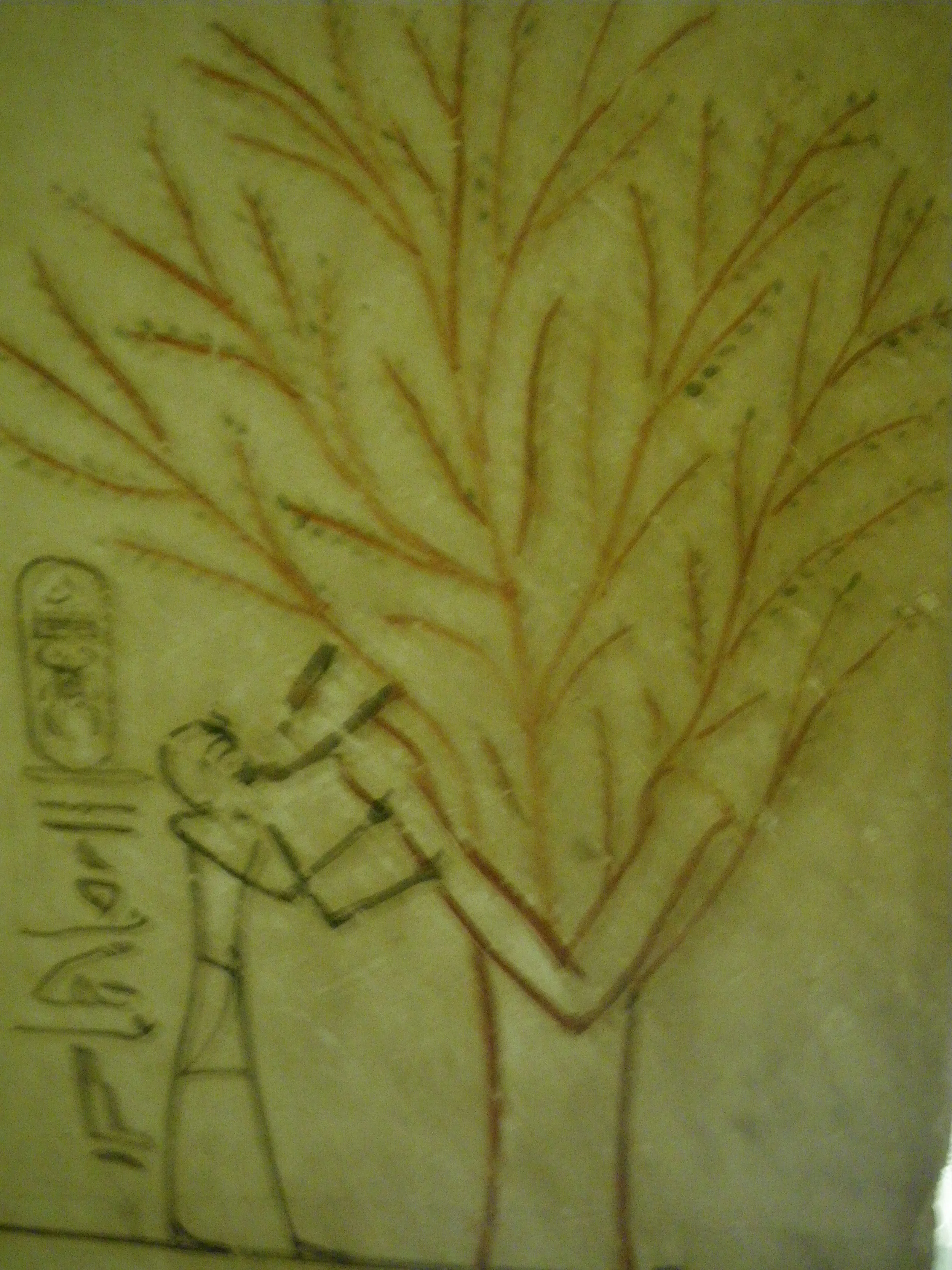 Fig. 4.3 Tree of Life - Tomb of Tuthmosis III.jpg