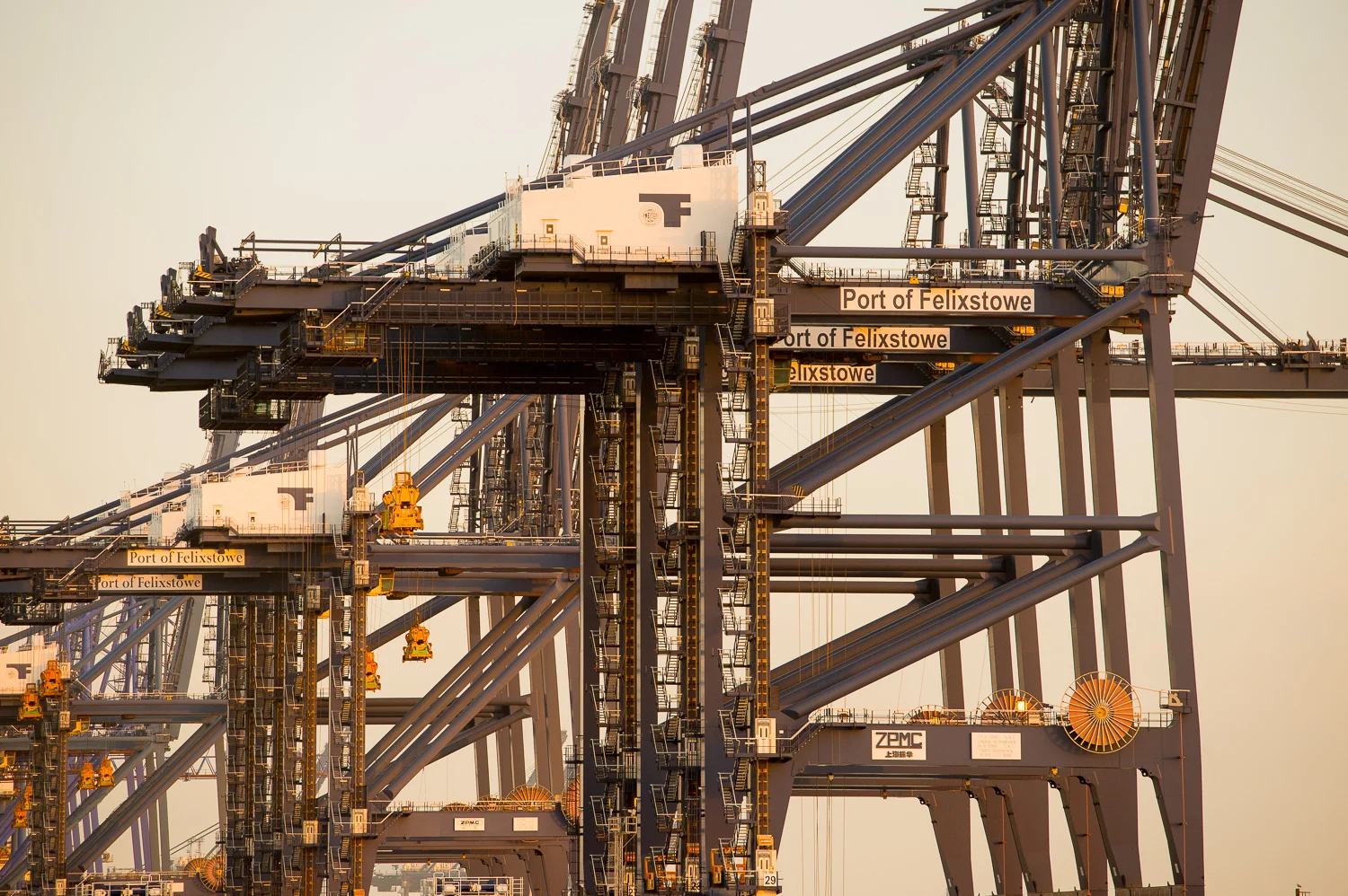 100315 MSC Oscar-12.jpg