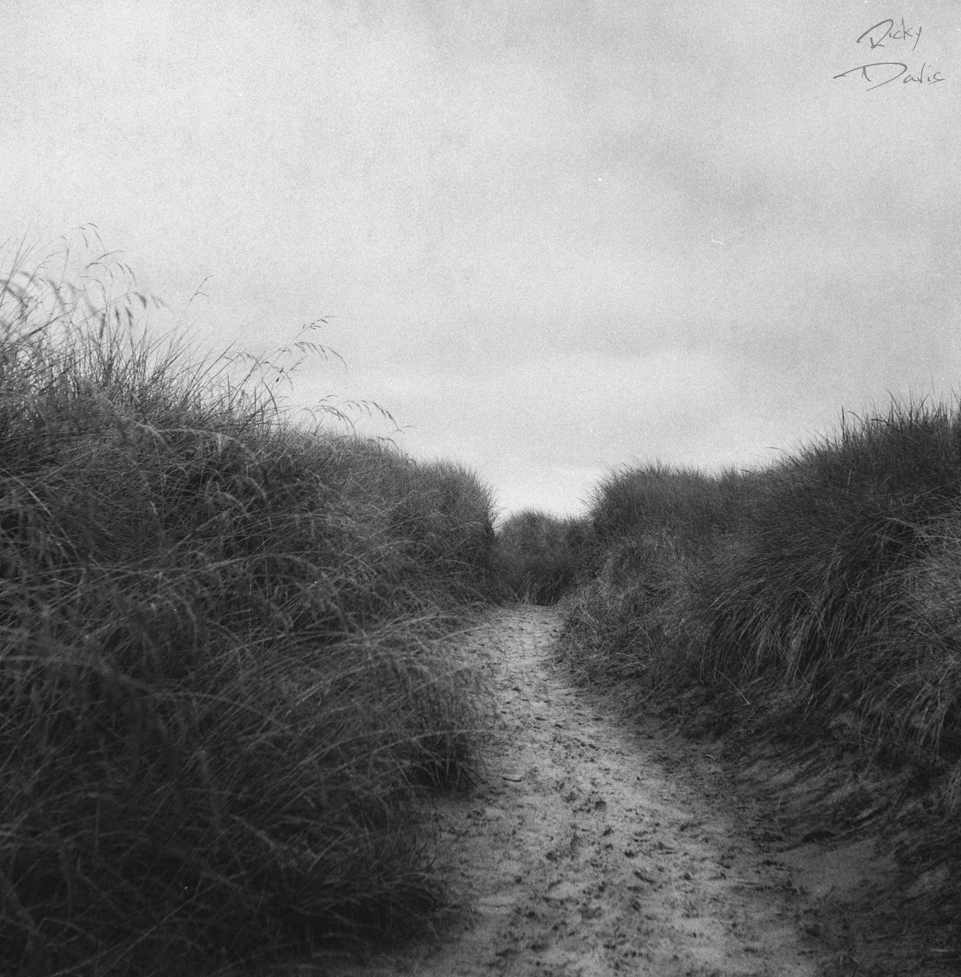 Path on the Beach - Oregon Coast
Kodak Tri X Film Photography
Photographer Ricky Davis of TRD Photography