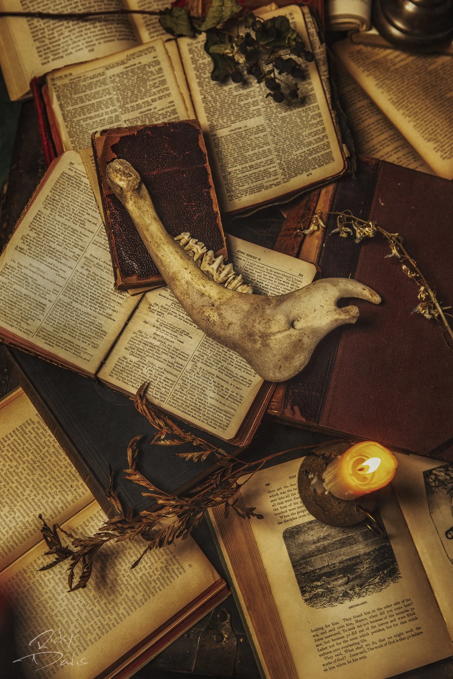 Gothic Still Life photography of books and a jawbone - Dark Academia Still Life Photography - Dark Academia Photography - Photo by photographer Ricky Davis of TRD Photography in Chattanooga, TN