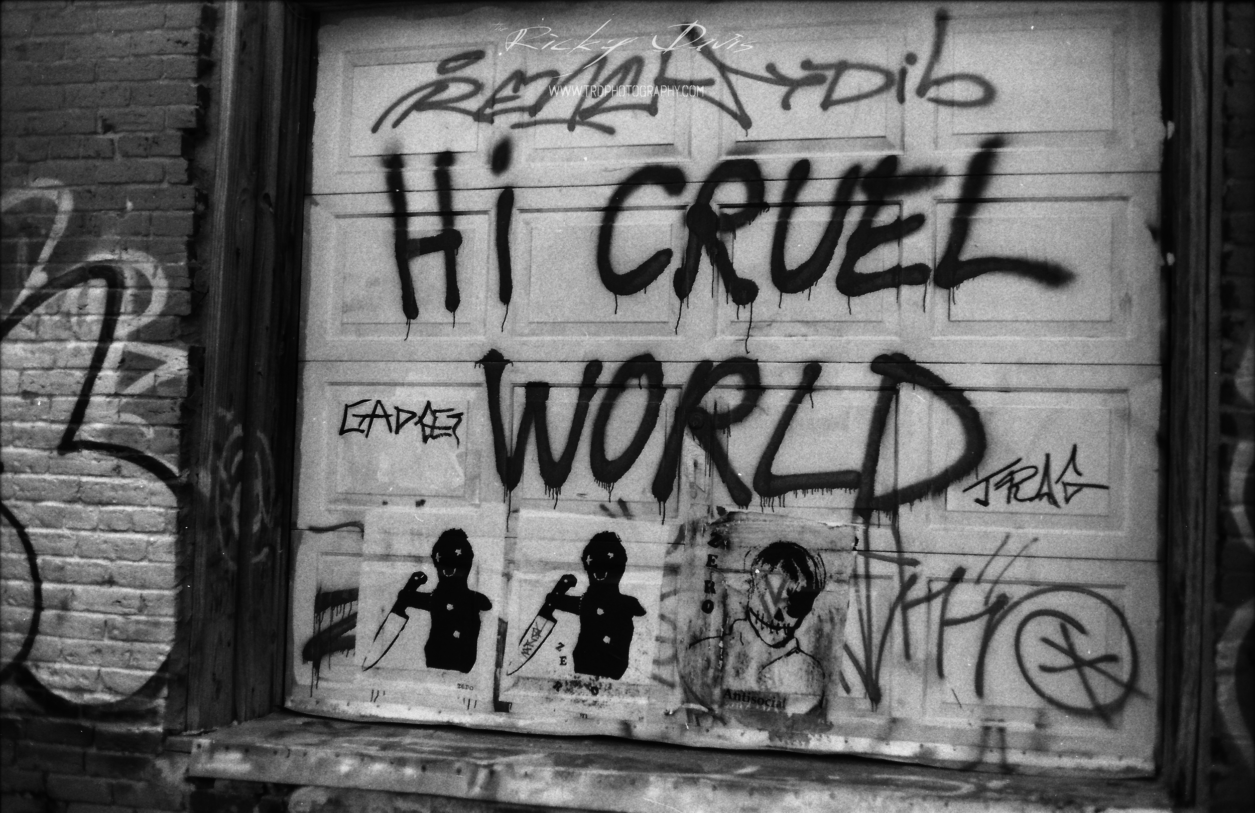 Street Art - Chattanooga, TN - Film - Expired Neopan SS - Camera - Minolta XG 1 - Photographer Ricky Davis