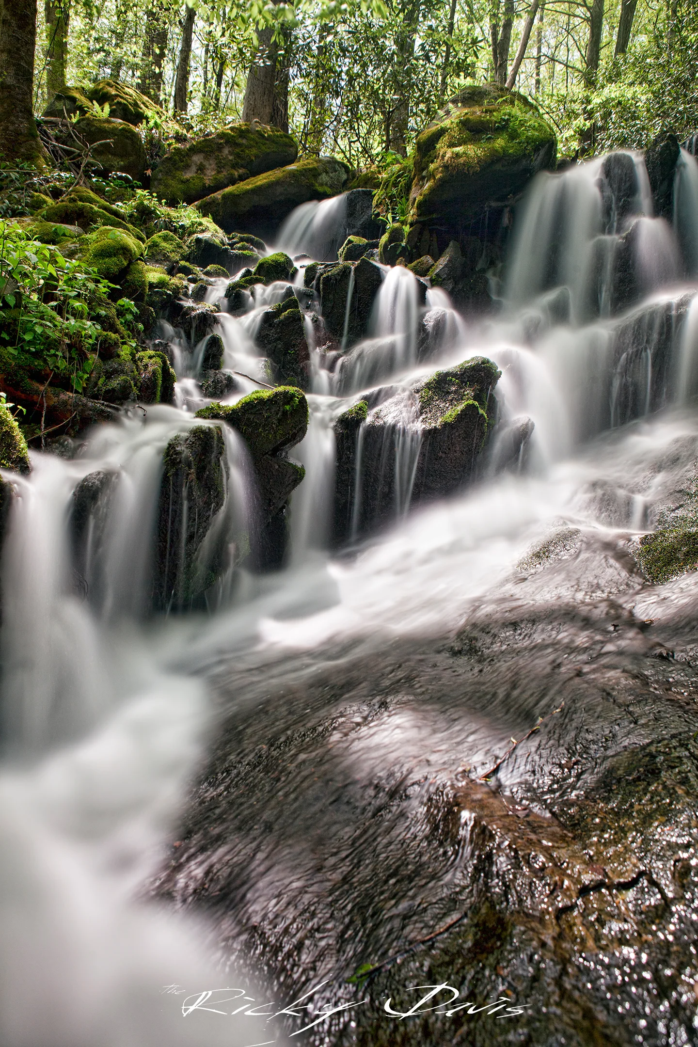 Waterfall in the Smokies - TRD Photography