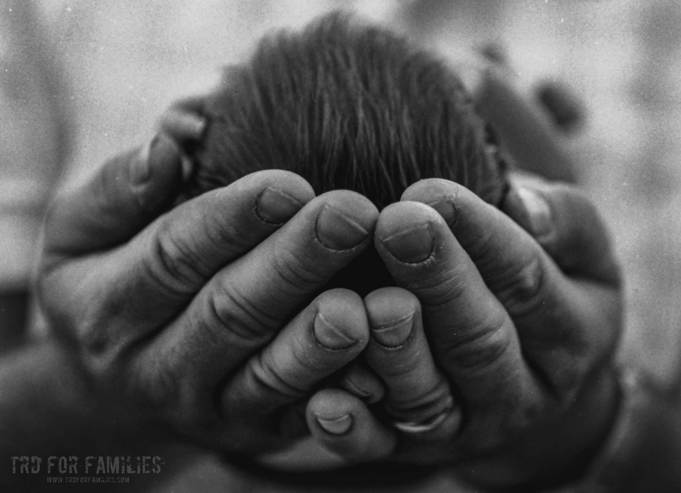 Film Photograph Sessions - TRD Photography - Chattanooga Portrait Photographer