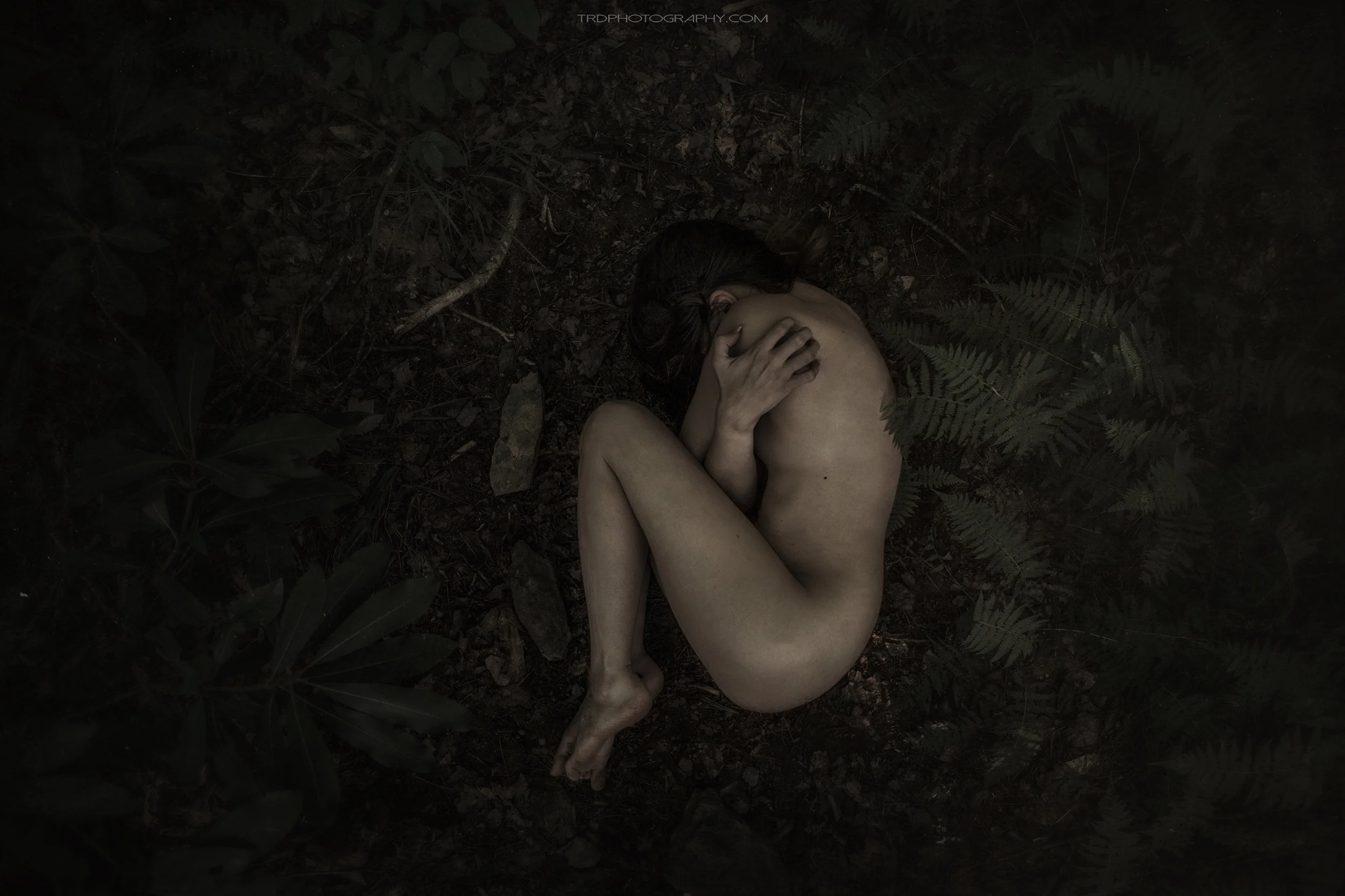 Daisy Mae - TRD Photography 