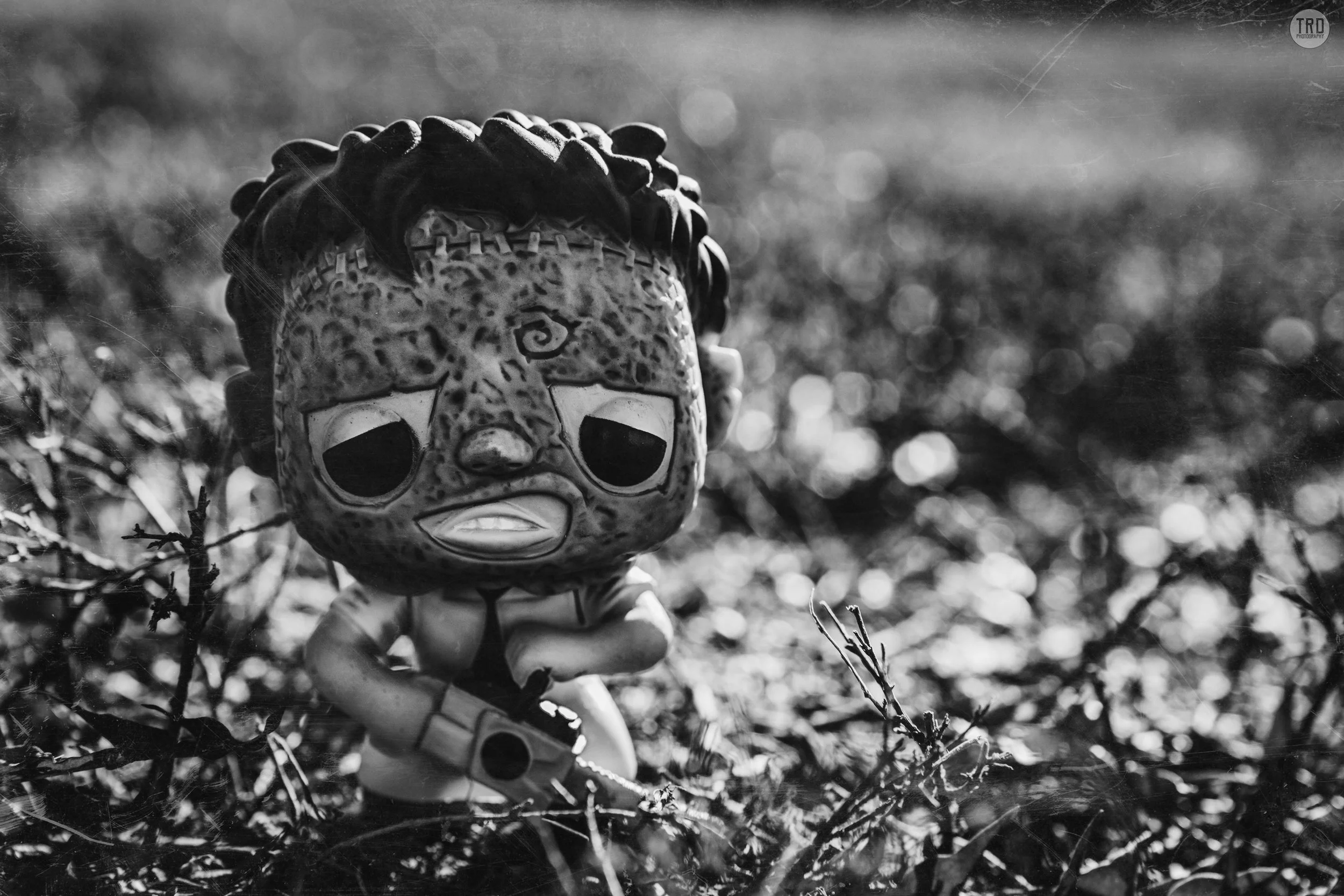 Pop Toy Photo - TRD Photography 