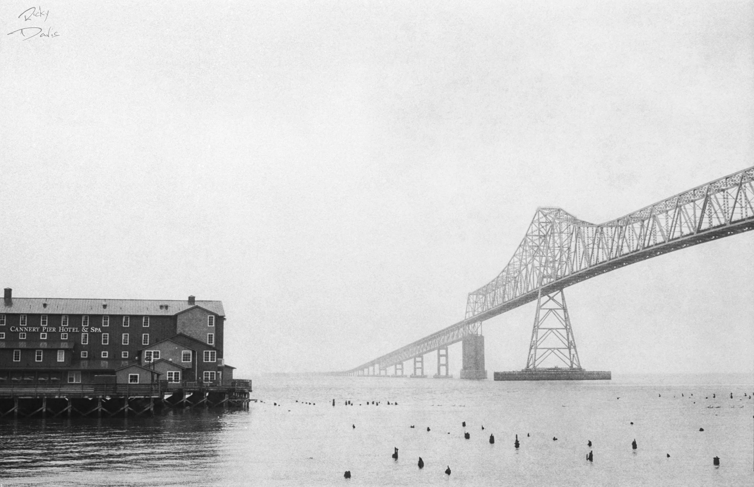 Astoria - Megler Bridge - Astoria, Oregon
Kodak Tri X Film Photography
Photographer Ricky Davis of TRD Photography