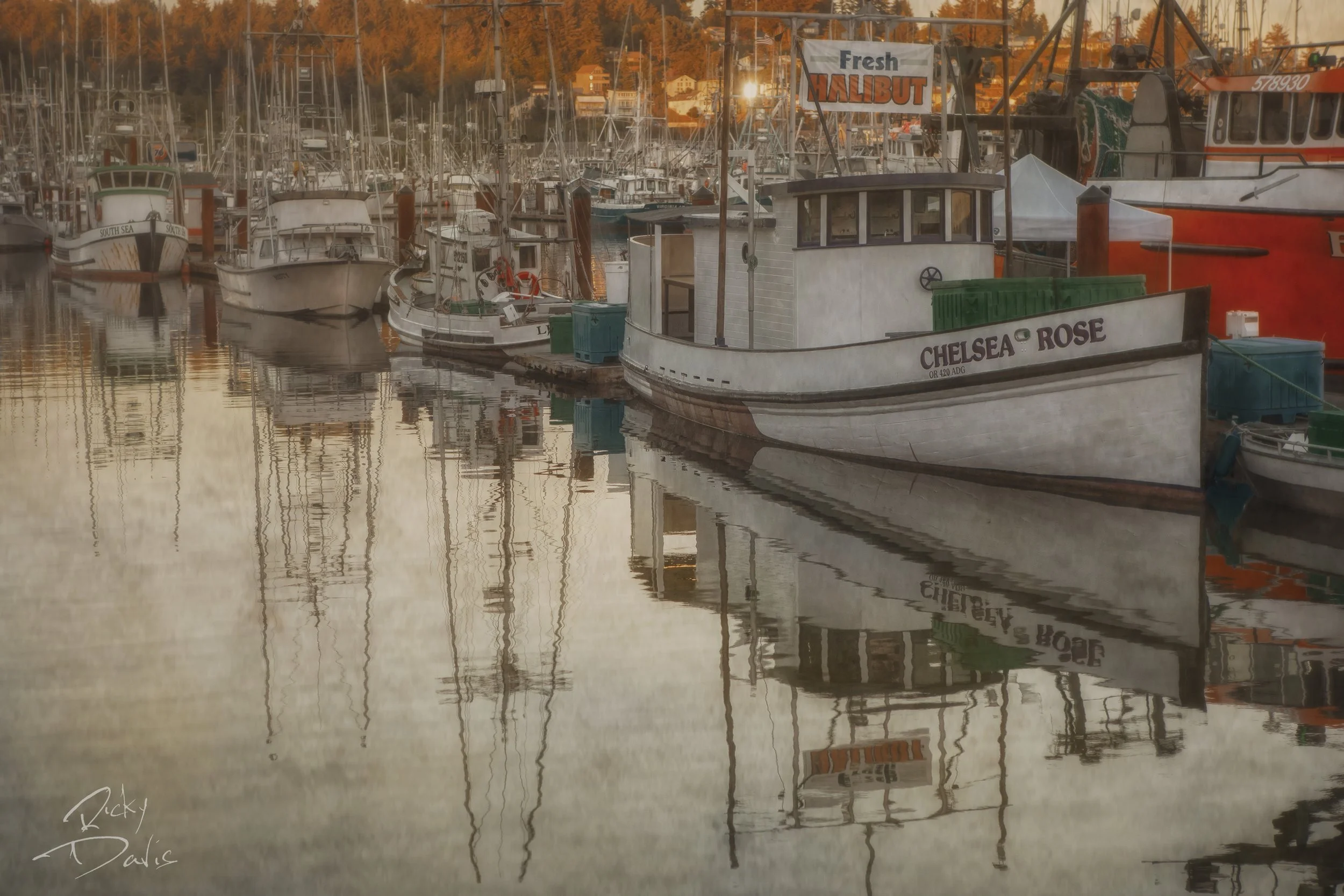 Deep Sea Fishing Boats at Newport Harbor - Newport, Oregon
Photographer Ricky Davis of TRD Photography