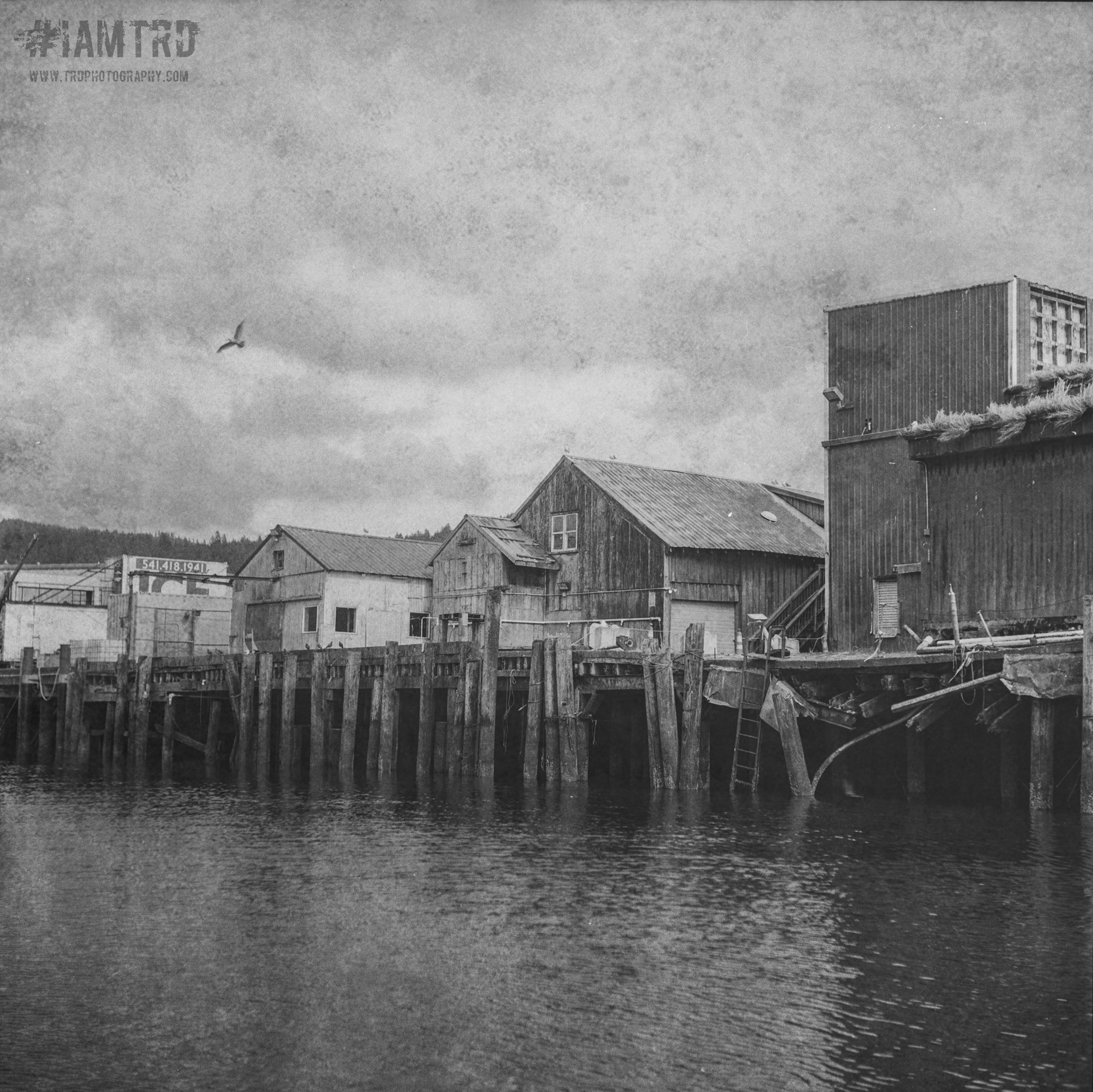 The Fishing Dock at Garibaldi - Garibaldi, Oregon
Kodak Tri X Film Photography
Photographer Ricky Davis of TRD Photography
