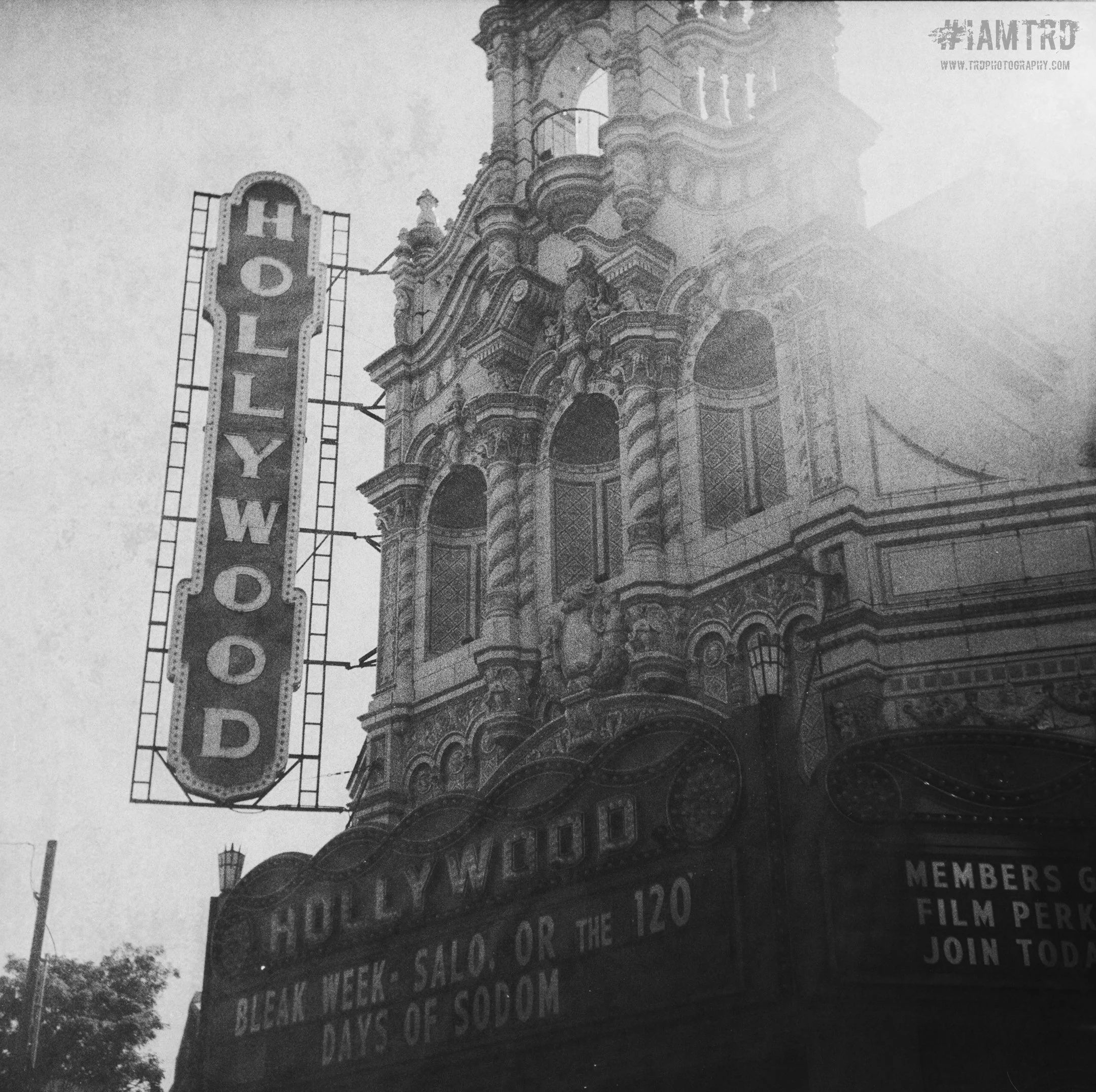 Hollywood Theatre - Portland, Oregon
Kodak Tri X Film Photography
Photographer Ricky Davis of TRD Photography
