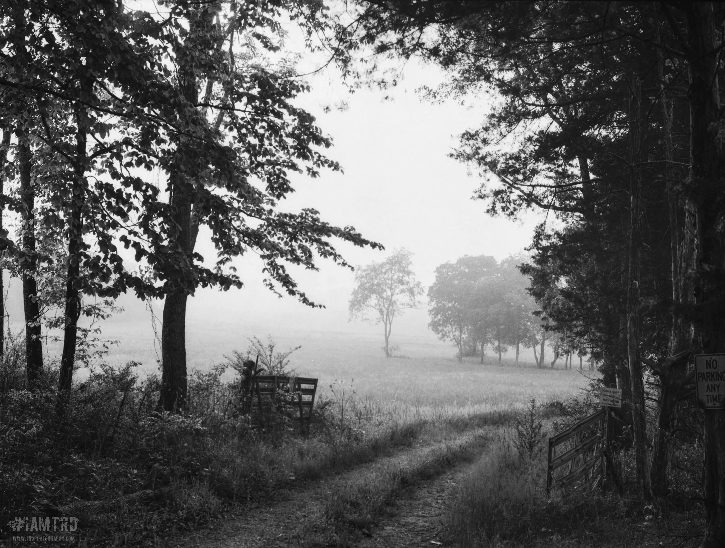 The Country Lane - Hiawassee Wildlife Reserve 
Kodak Tri X Film Photography 
Photographer Ricky Davis of TRD Photography