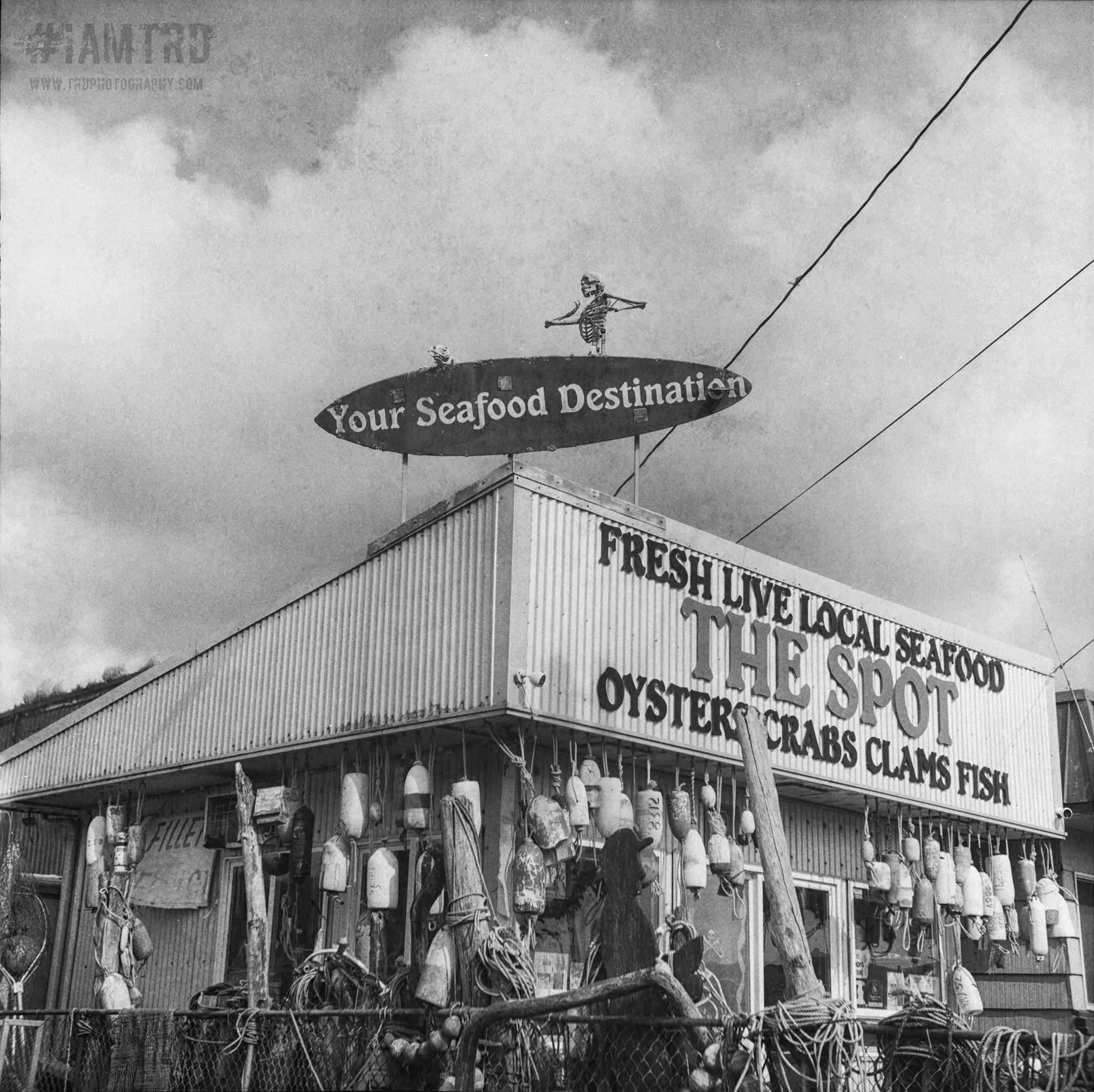 The Spot - Fresh Live Local Seafood - Garibaldi, Oregon 
Kodak Tri X Film Photography
Photographer Ricky Davis of TRD Photography