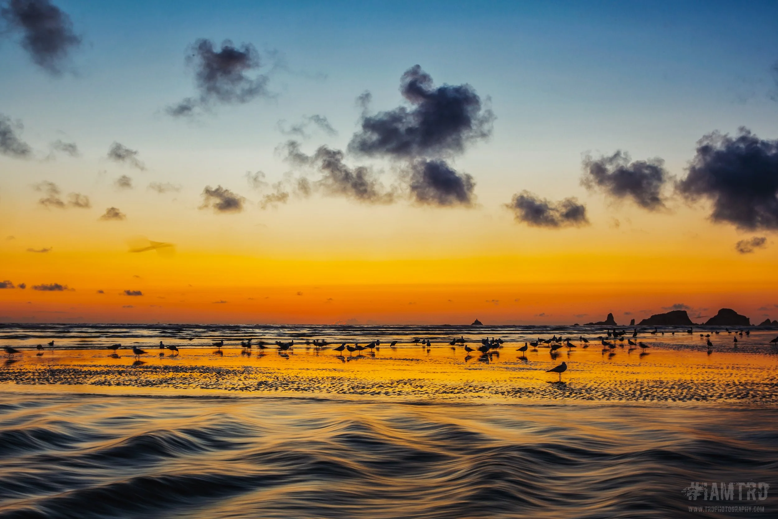 Sunset at Cannon Beach - Cannon Beach, Oregon
Photographer Ricky Davis of TRD Photography