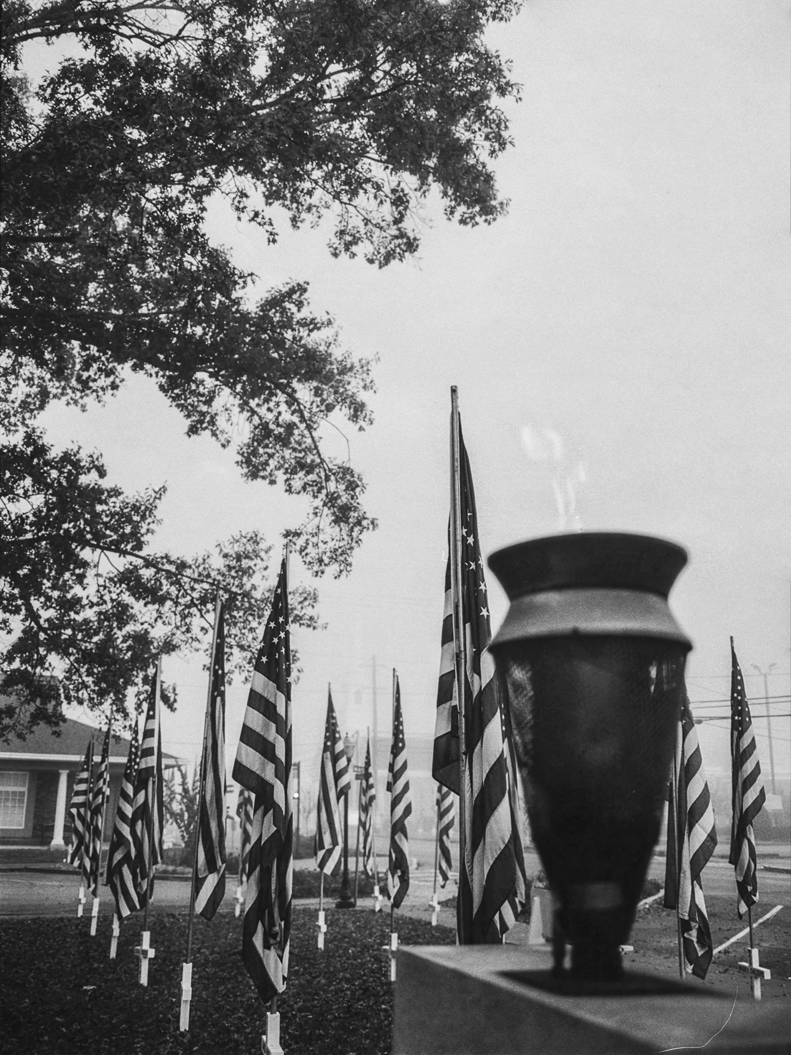 Veterans Day Flag Display - Catoosa County Courthouse - Ringgold, Georgia
Kodak Tri X Film Photography 
Photographer Ricky Davis of TRD Photography