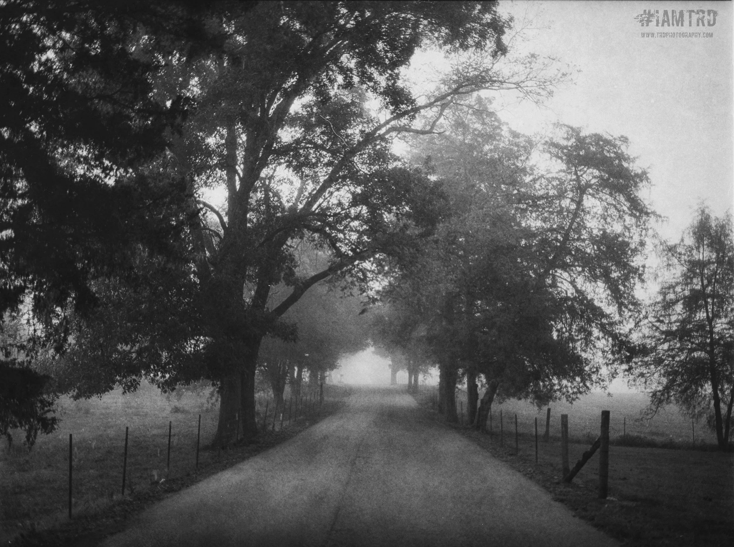 Country Road in the Fog - Georgetown, Tennessee
Kodak Tri X Film Photography 
Photographer Ricky Davis of TRD Photography