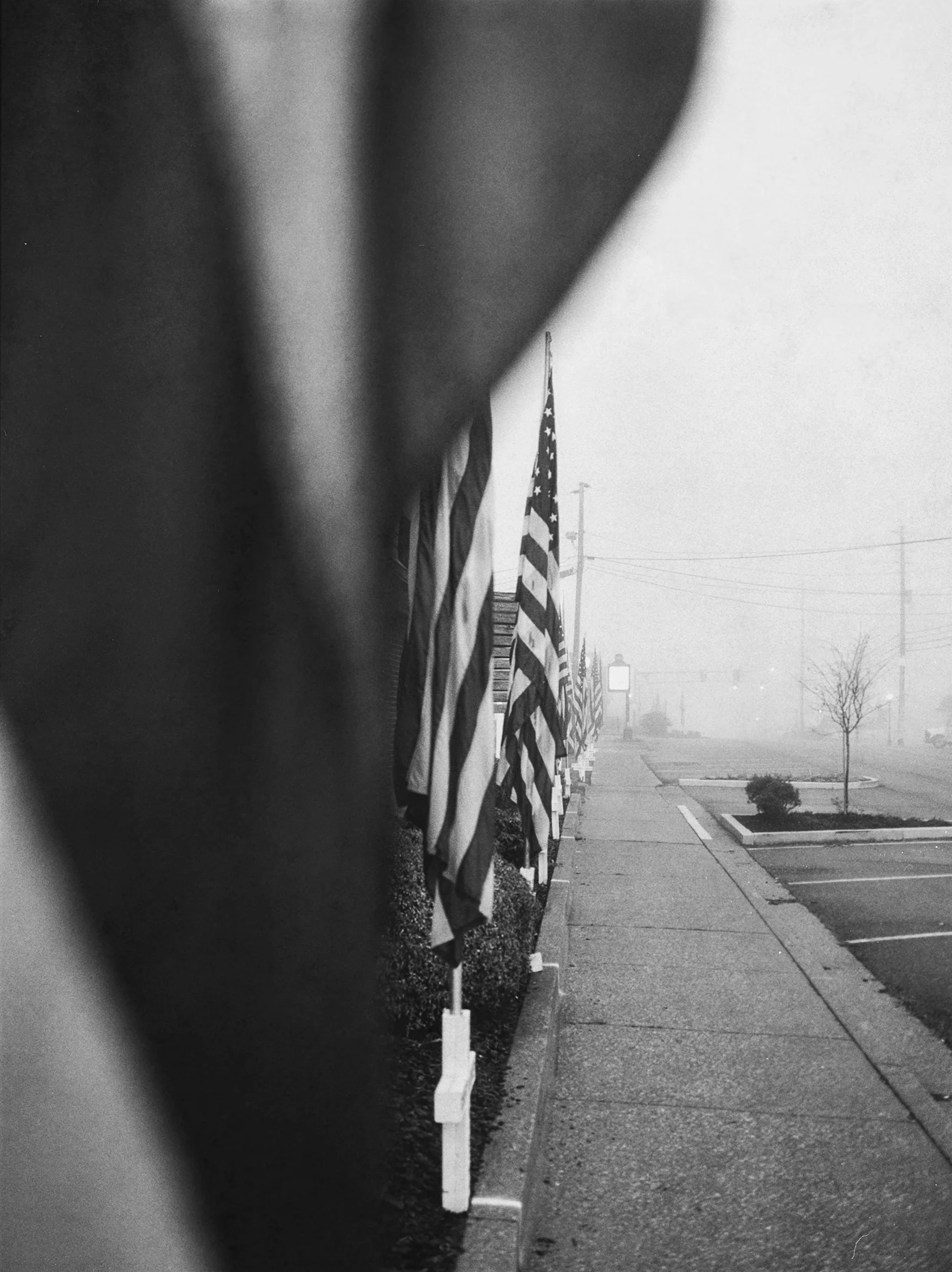 Veterans Day Flag Display - Catoosa County Courthouse - Ringgold, Georgia
Kodak Tri X Film Photography 
Photographer Ricky Davis of TRD Photography