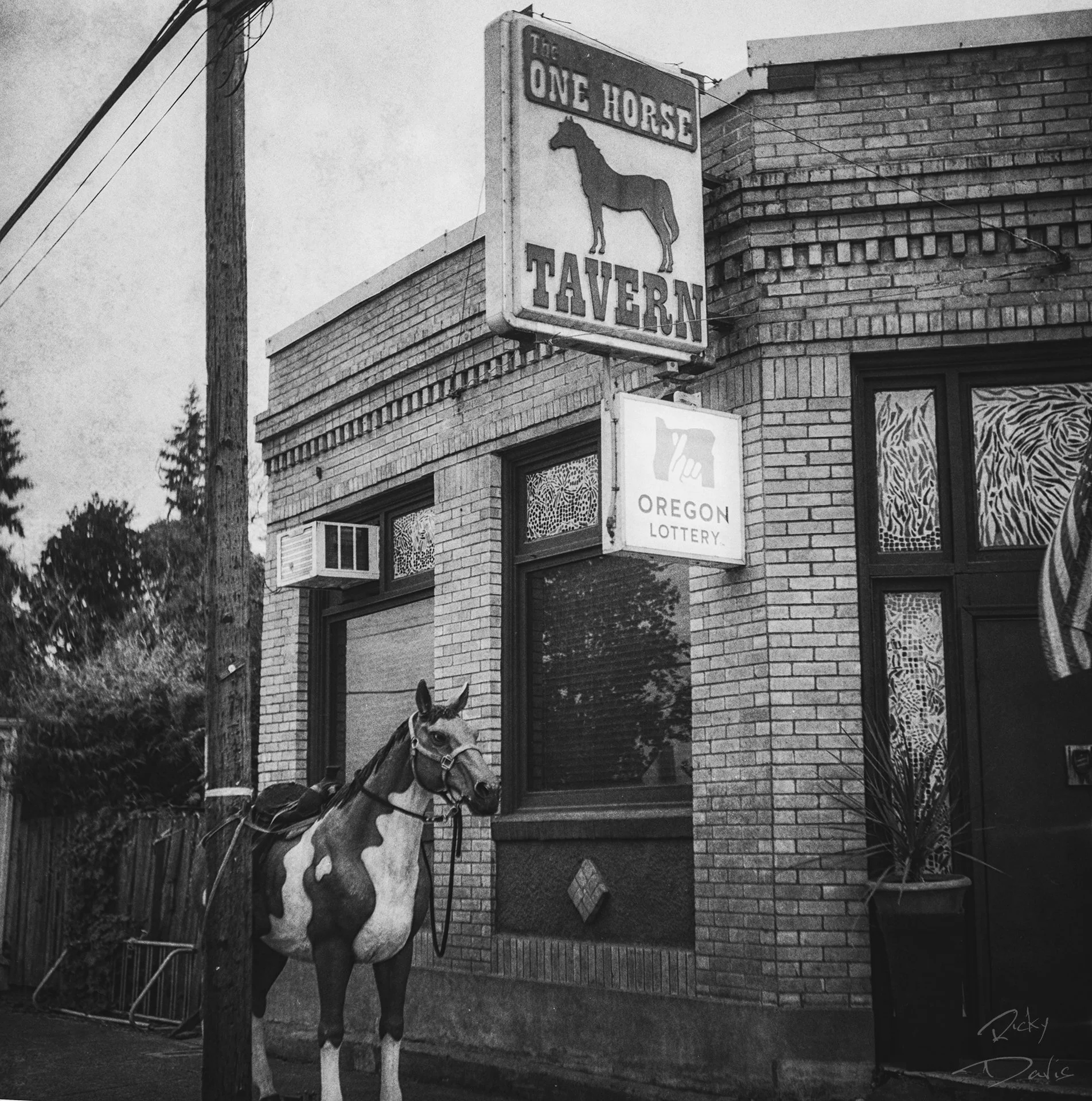 One Horse Tavern - Gaston, Oregon
Kodak Tri X Film Photography
Photographer Ricky Davis of TRD Photography