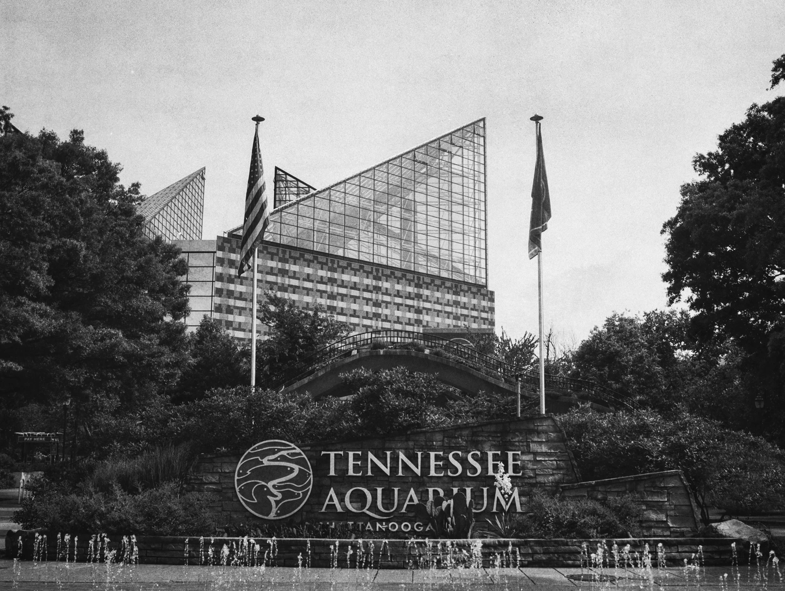 Tennessee Aquarium, Chattanooga TN, Chattanooga Tennessee, Things to See in Chattanooga, Film Photography, TRD Photography, Ricky Davis