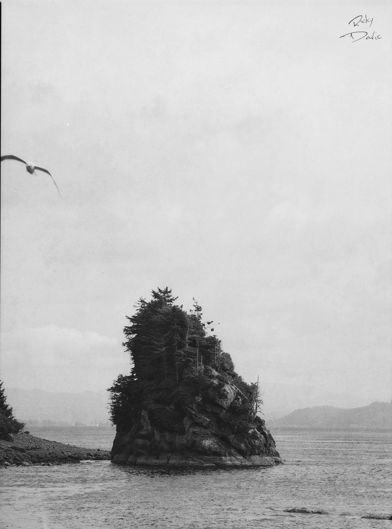 Rock Formation off the Coast - Oregon Coast
Kodak Tri X Film Photography
Photographer Ricky Davis of TRD Photography