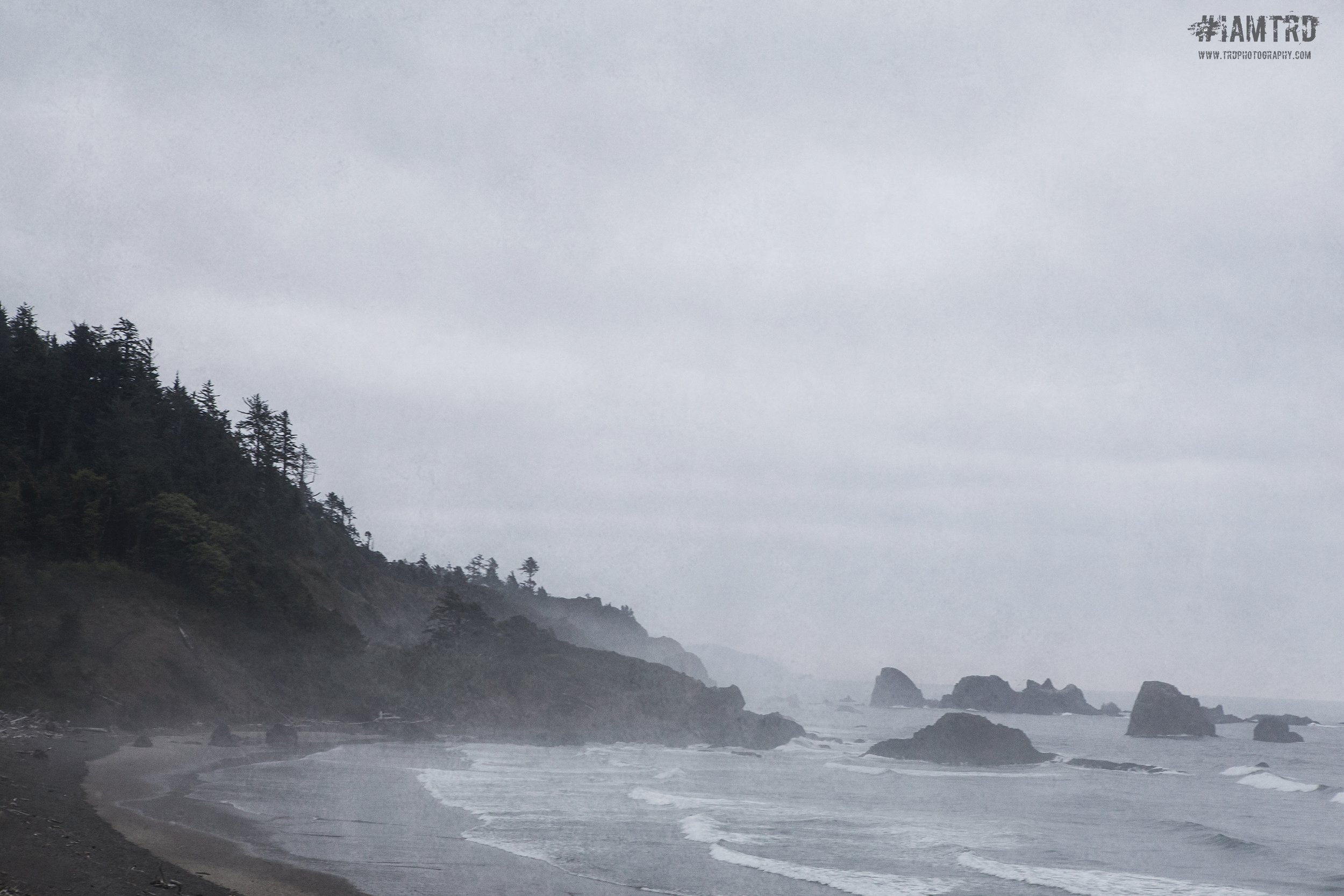Oregon Coast at Ecola State Park - Cannon Beach, Oregon
Photographer Ricky Davis of TRD Photography