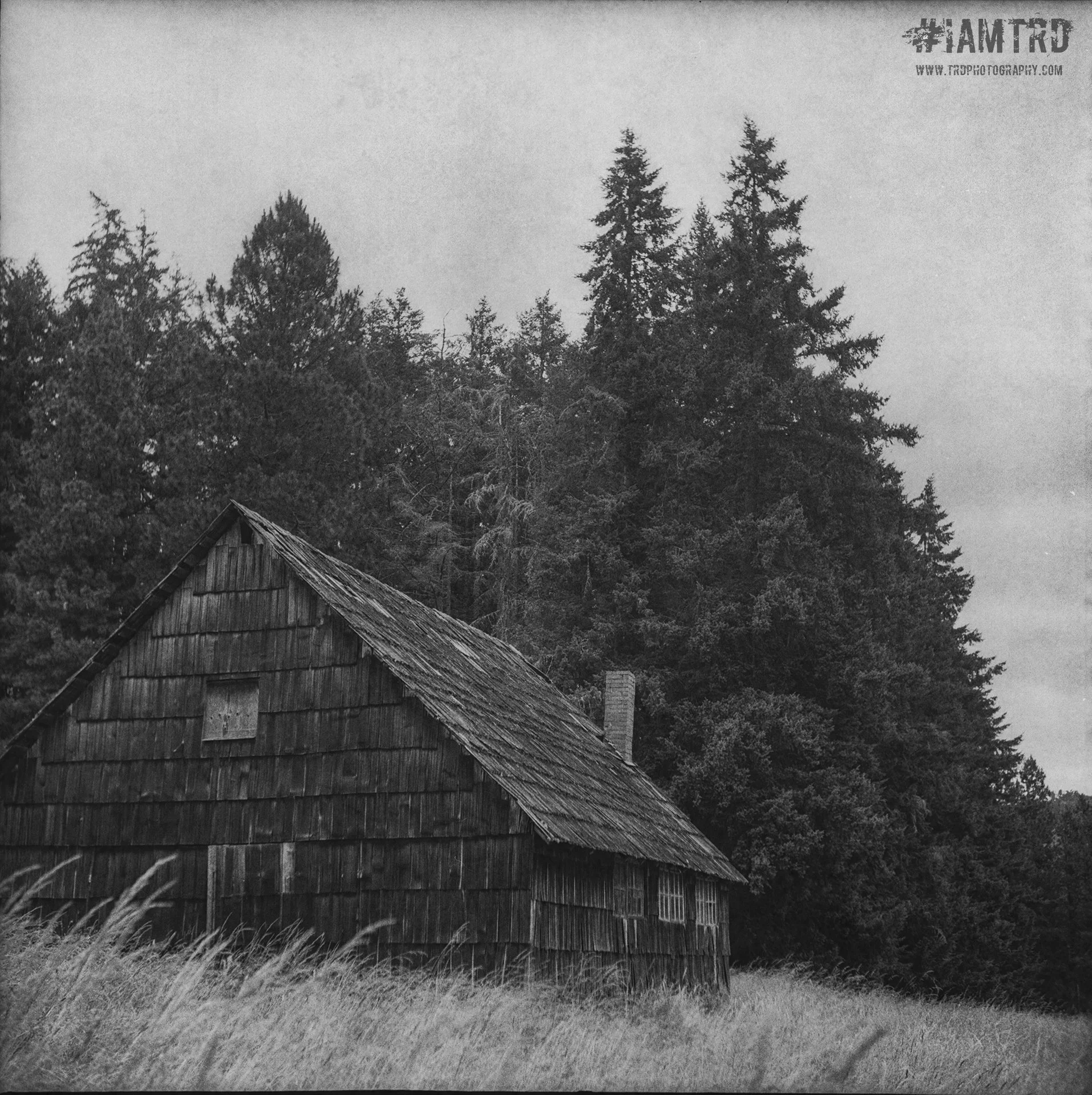 Small Barn in a Field - Laurelwood, Oregon
Kodak Tri X Film Photography
Photographer Ricky Davis of TRD Photography