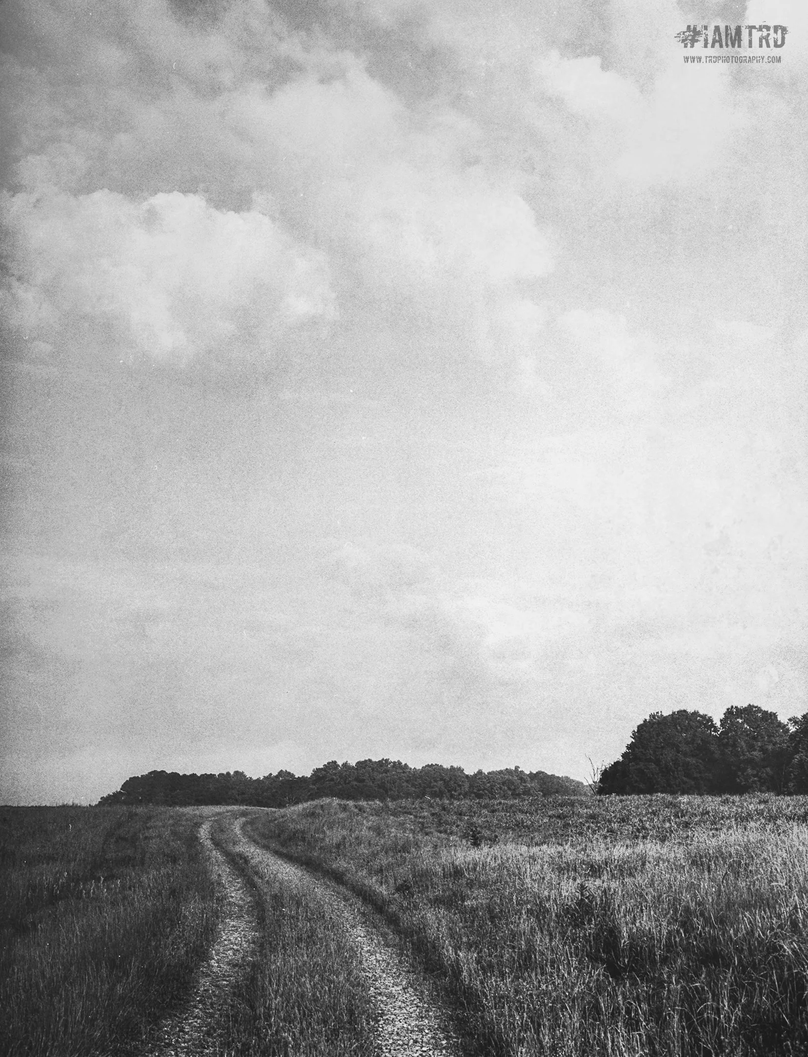 Country Roadway - Hiawassee Wildlife Reserve 
Kodak Tri X Film Photography 
Photographer Ricky Davis of TRD Photography