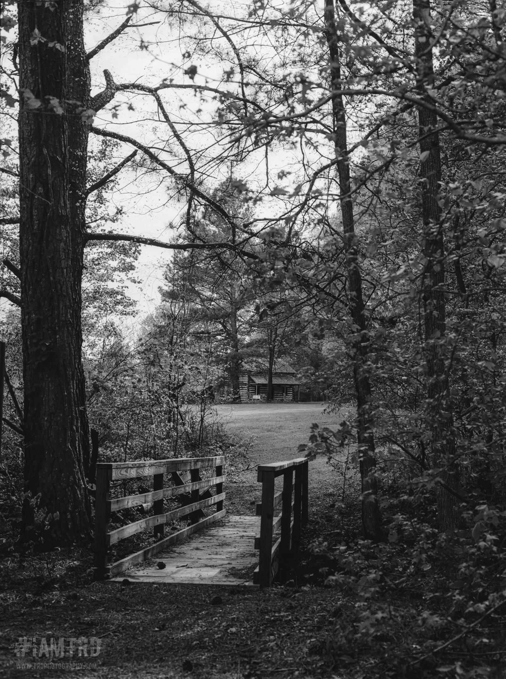 Red Clay State Park - Cleveland, Tennessee
Kodak Tri X Film Photography 
Photographer Ricky Davis of TRD Photography