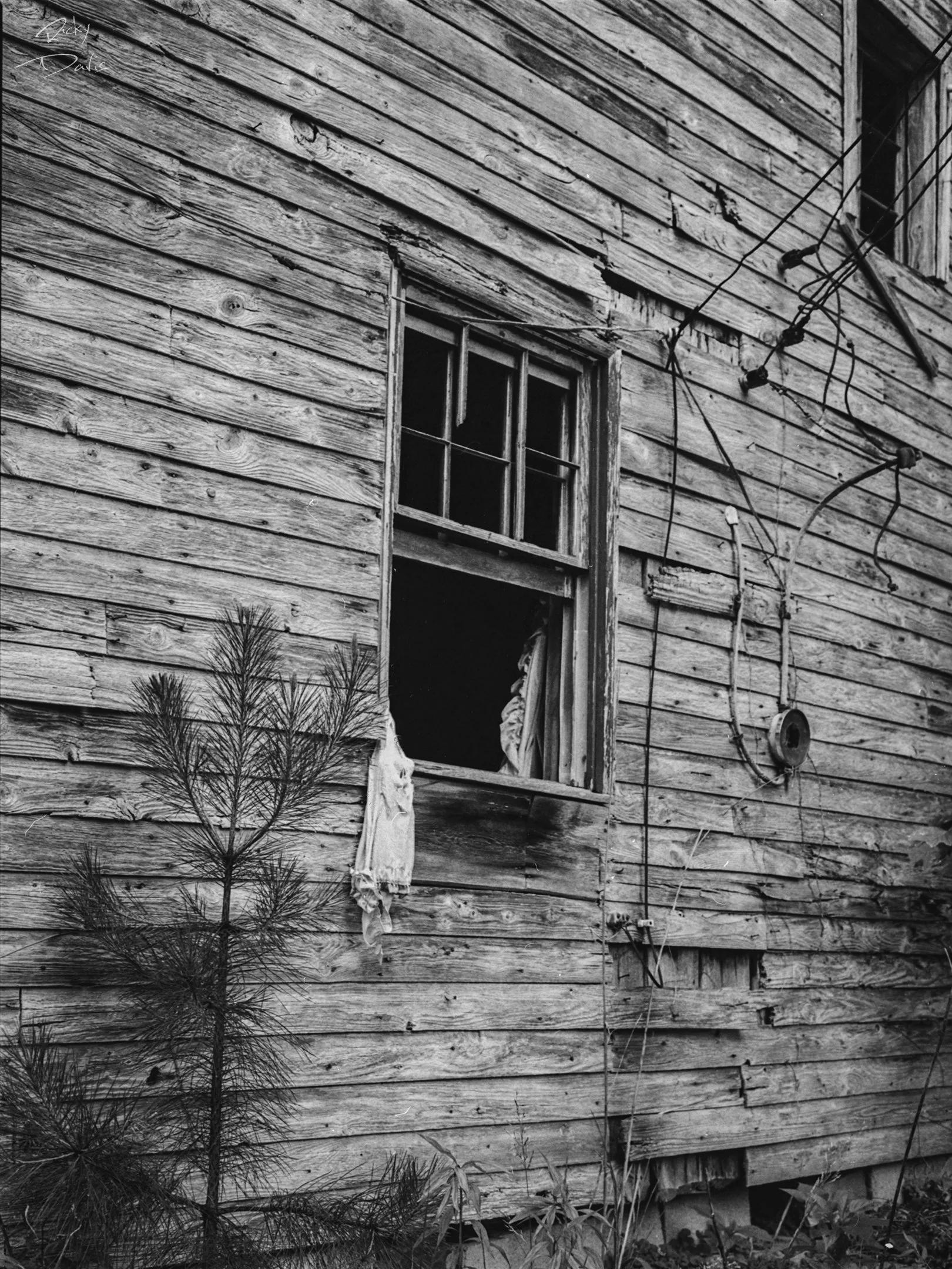 Window in Abandoned House - Ooltewah, Tennessee
Kodak Tri X Film Photography 
Photographer Ricky Davis of TRD Photography