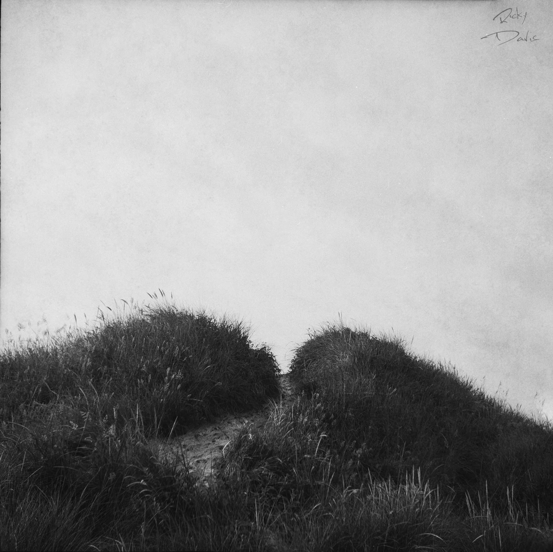 The Sandy Pathway - Warrenton, Oregon
Kodak Tri X Film Photography
Photographer Ricky Davis of TRD Photography