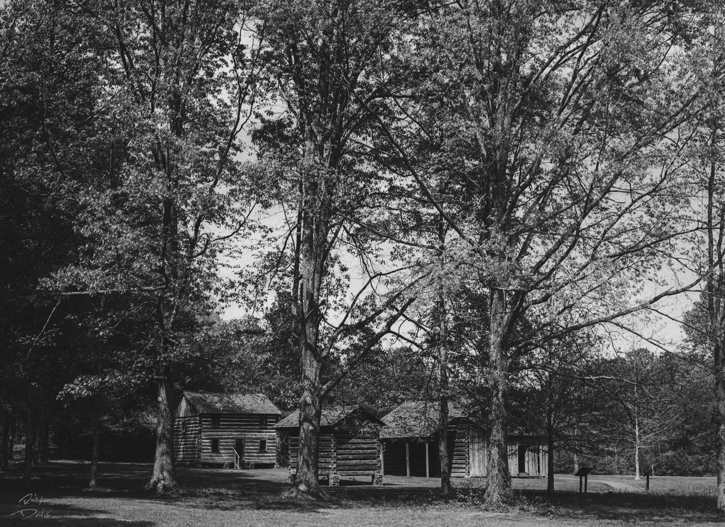 Red Clay State Park - Cleveland, Tennessee 
Kodak Tri X Film Photography 
Photographer Ricky Davis of TRD Photography