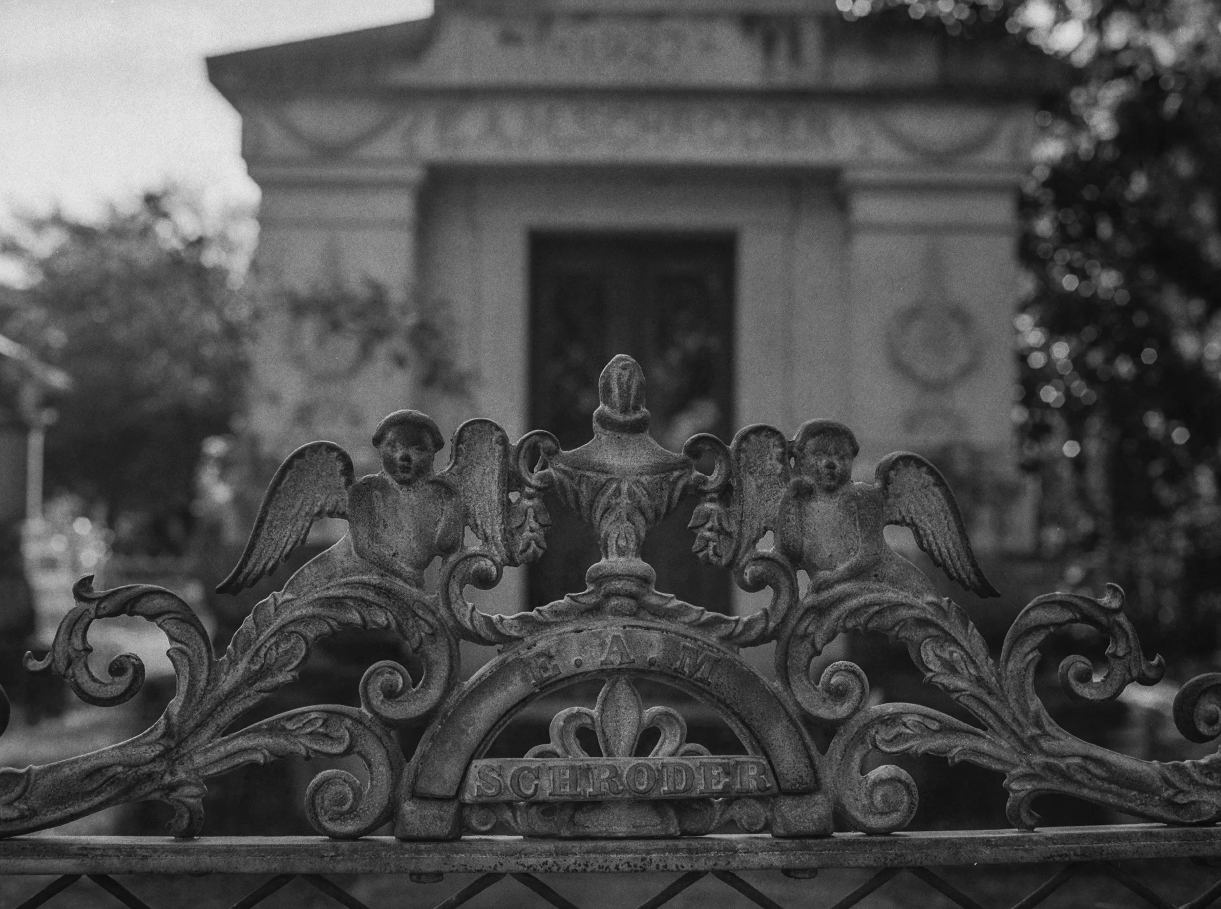 Black and White Film photography of Bonaventure Cemetery in Savannah, GA. Cemetery photography by photographer Ricky Davis of TRD Photography from Chattanooga, TN. Southern Gothic Photography
