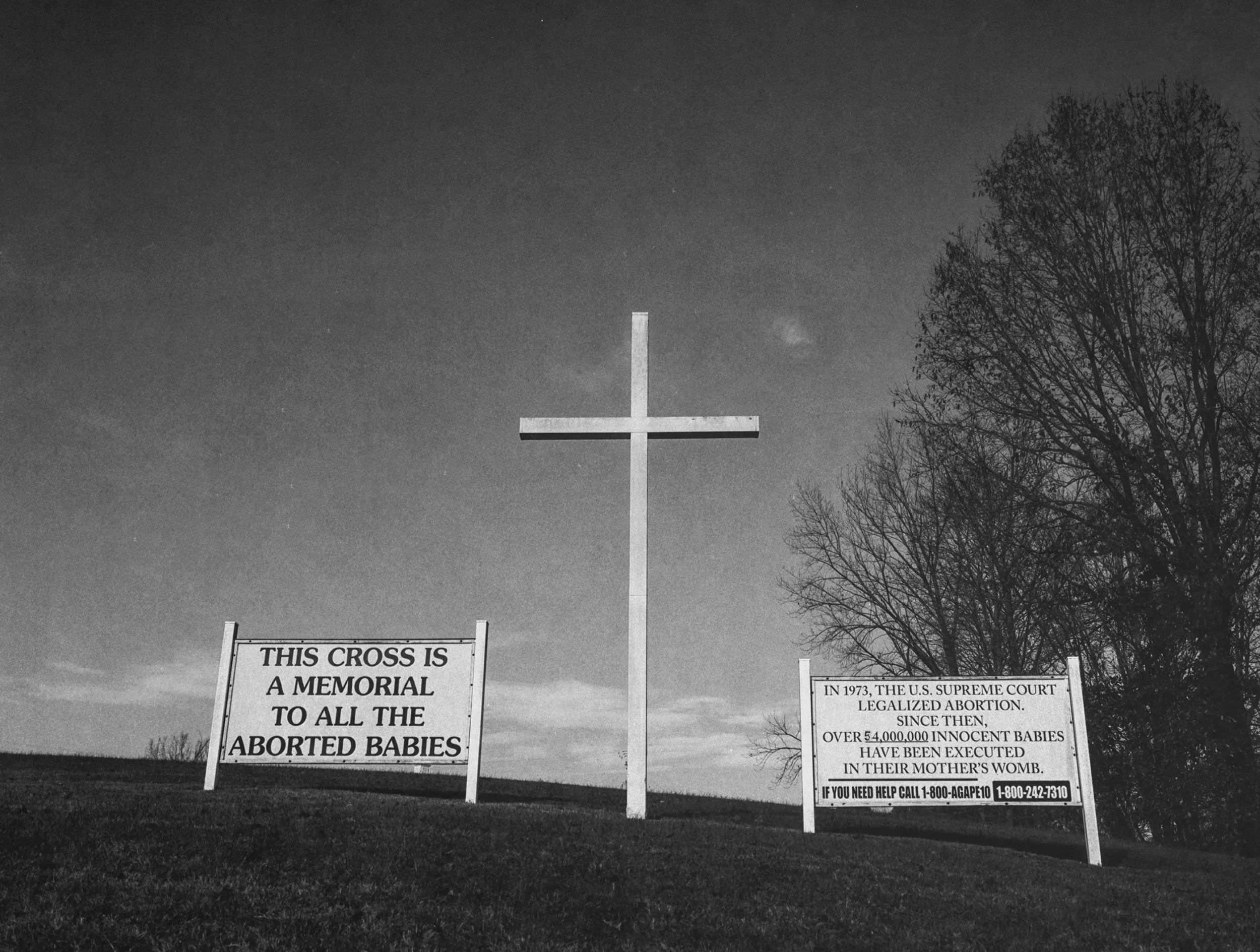 Bizarre religious signs, anti abortion, pro life, southern gothic, cross, springfield tennessee
