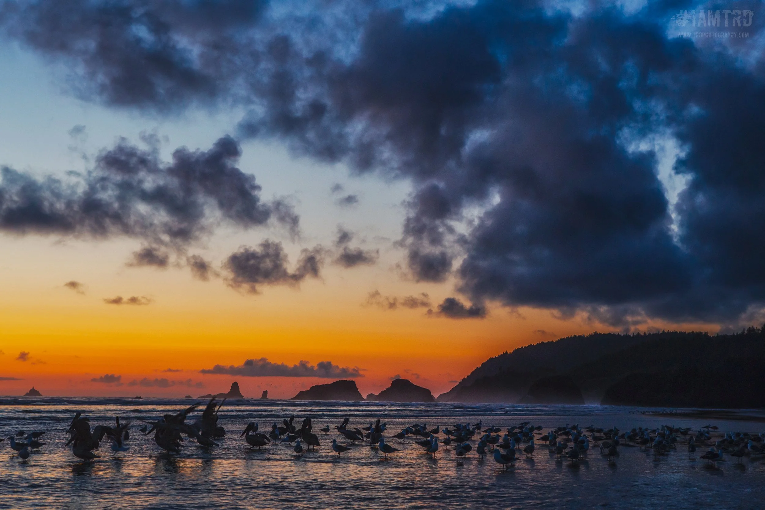 Sunset at Cannon Beach - Cannon Beach, Oregon
Photographer Ricky Davis of TRD Photography
