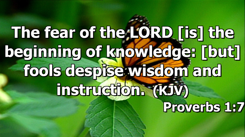 Proverbs 1 Verse 7 Meaning DanuelRoark proverbs-1-verse-7-meaning-danuelroark