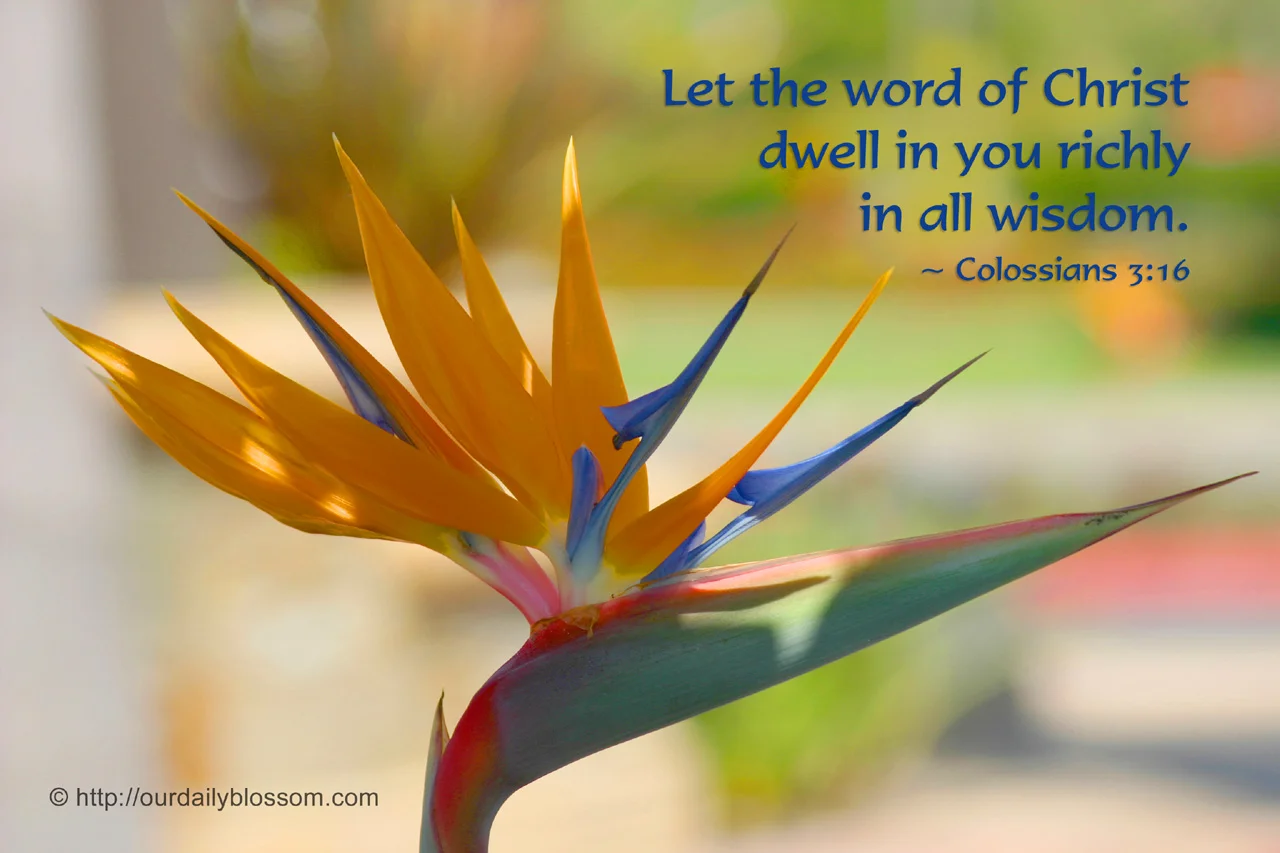 colossians.jpg