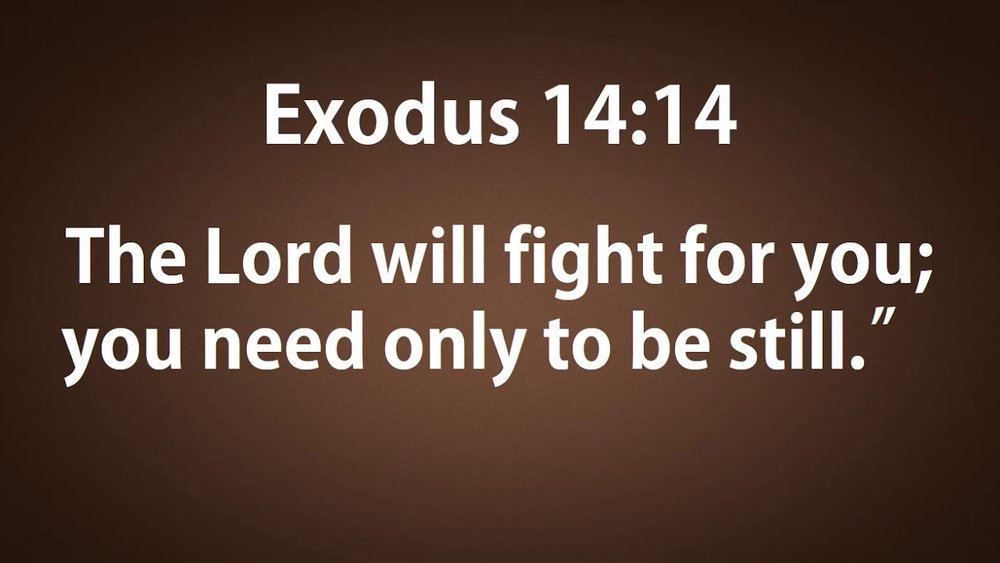 God's RESET Is Coming! 3 Exodus 14:14 God Got This — Tell the Lord Thank You