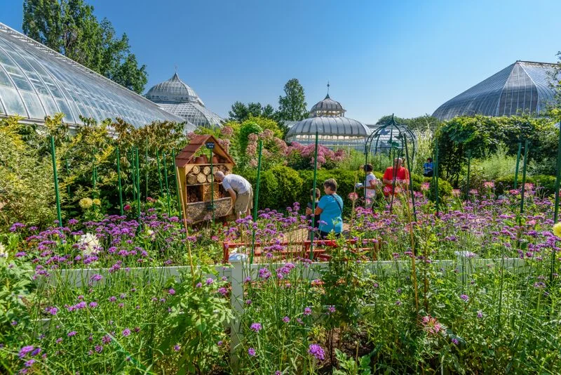 Kids exploring the outdoor garden and bug hotel. Photo by Paul g. Wiegman.