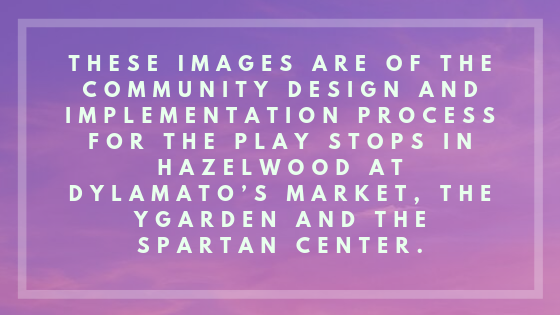 NPSP description.png