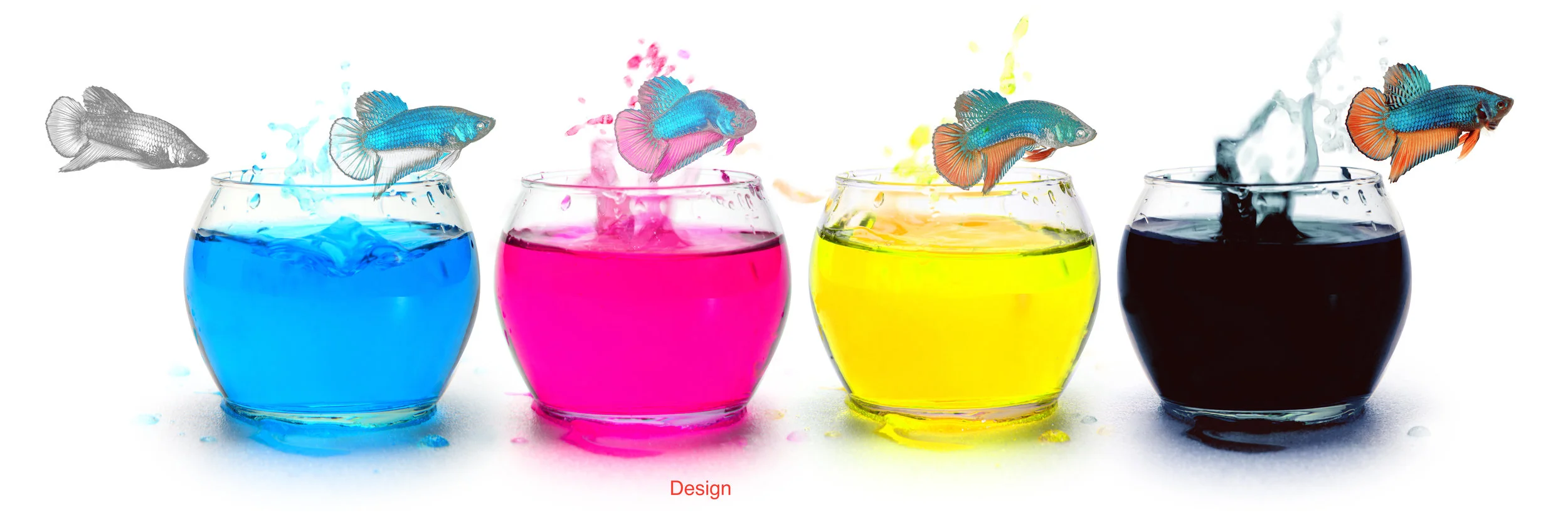 shutterstock_176477783.jpg