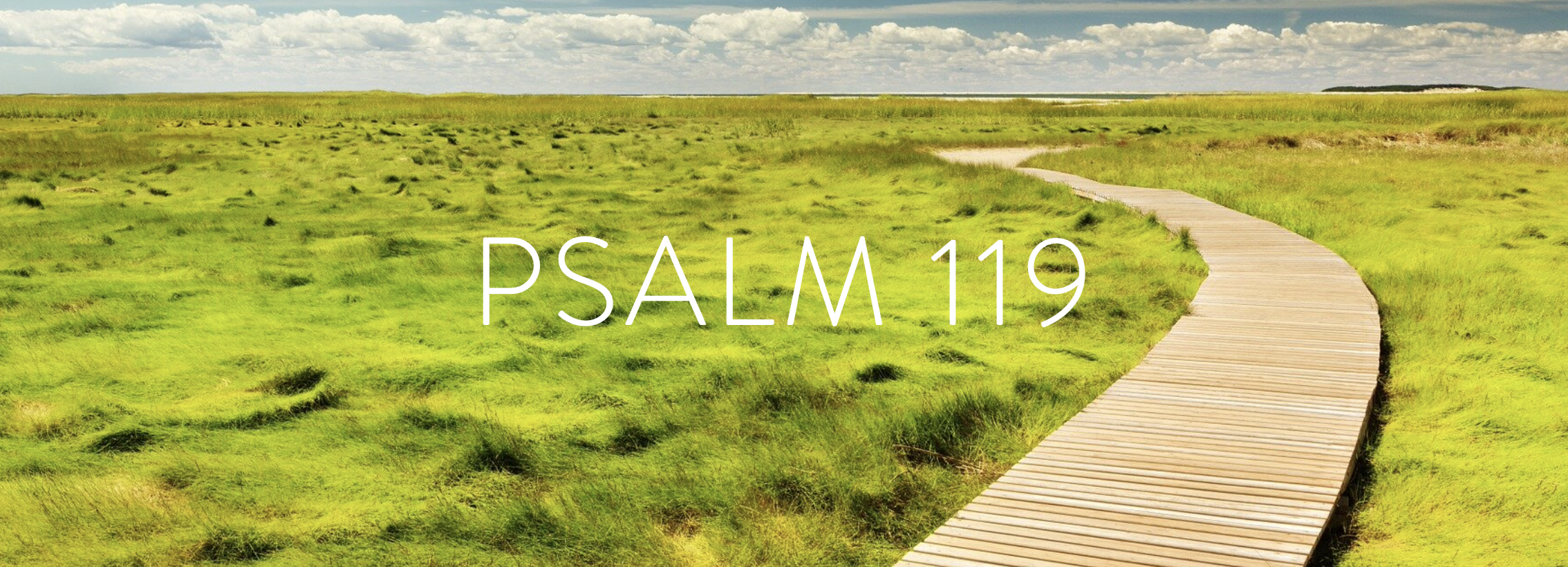 Screen Shot 2022-08-15 at 7.21.43 AM.png