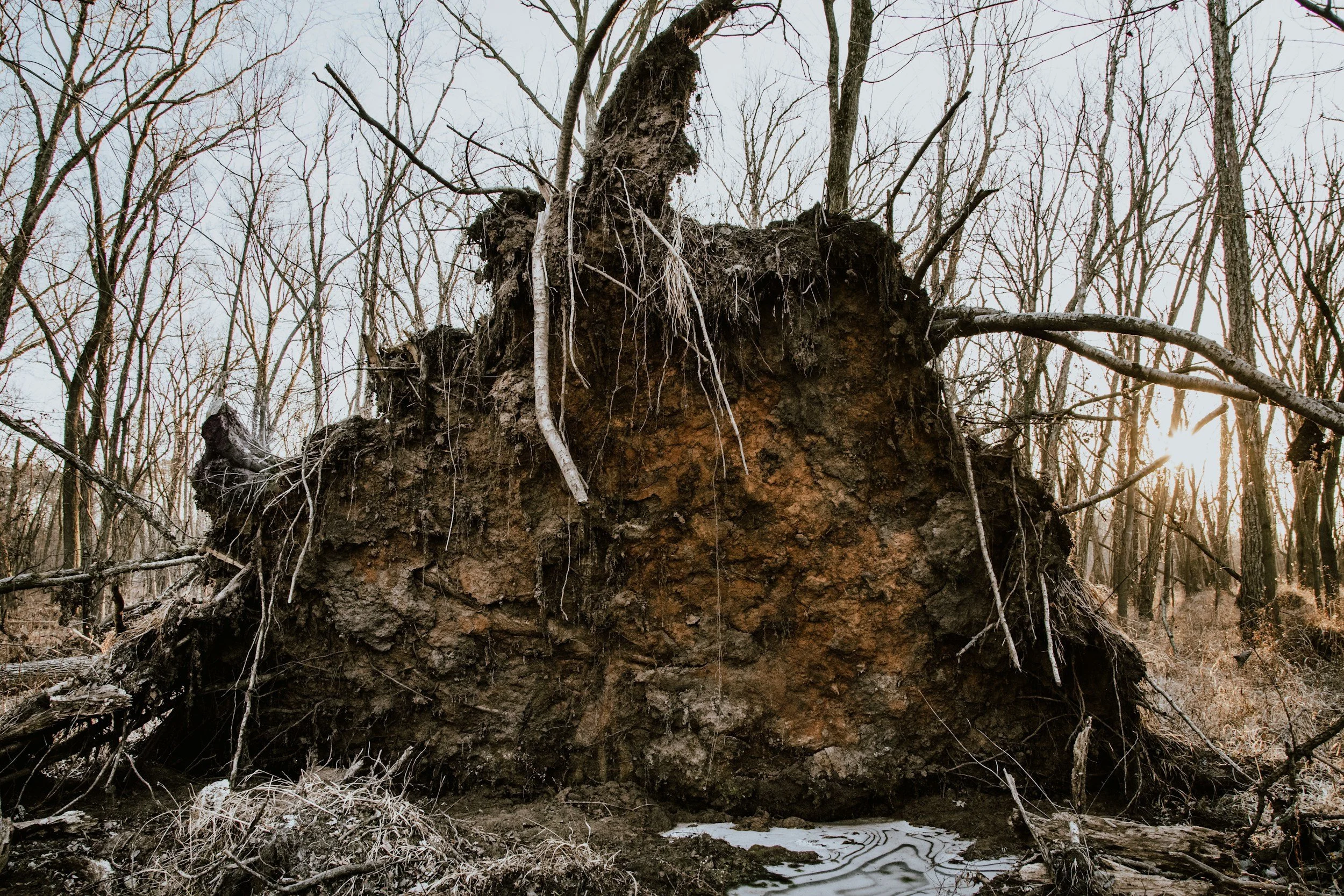 Cord Cutting: Uproot