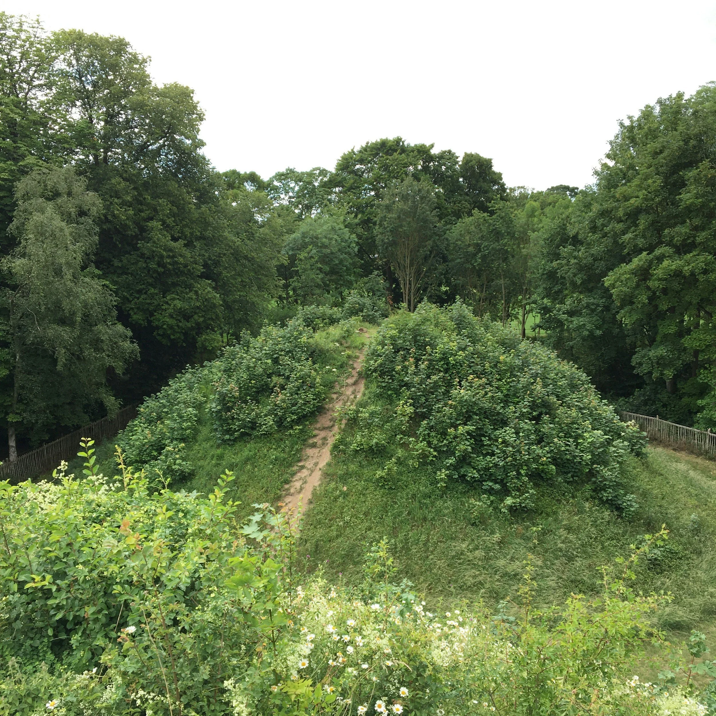 Self Reclamation: The Tomb