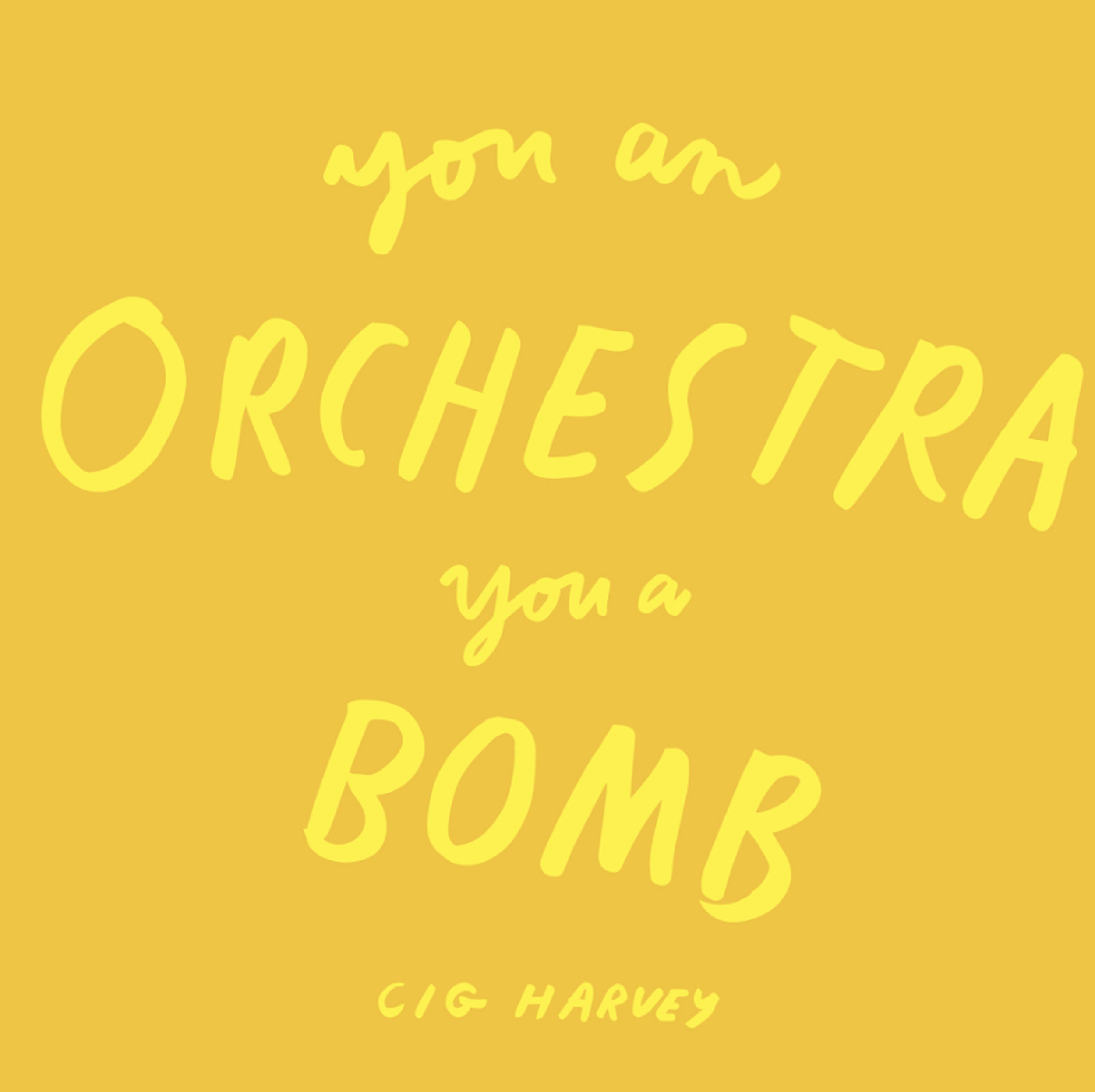 Cig Harvey You An Orchestra You A Bomb