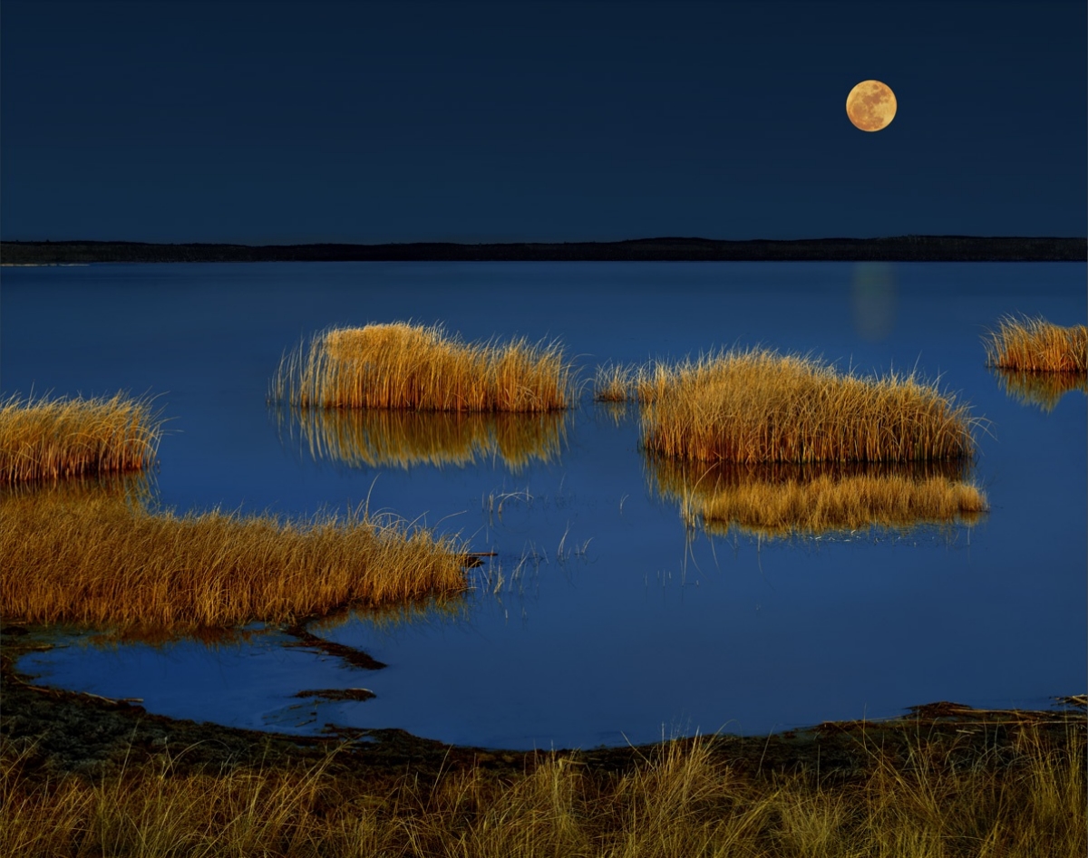 Moon rise over Joseph lake AB Canada
