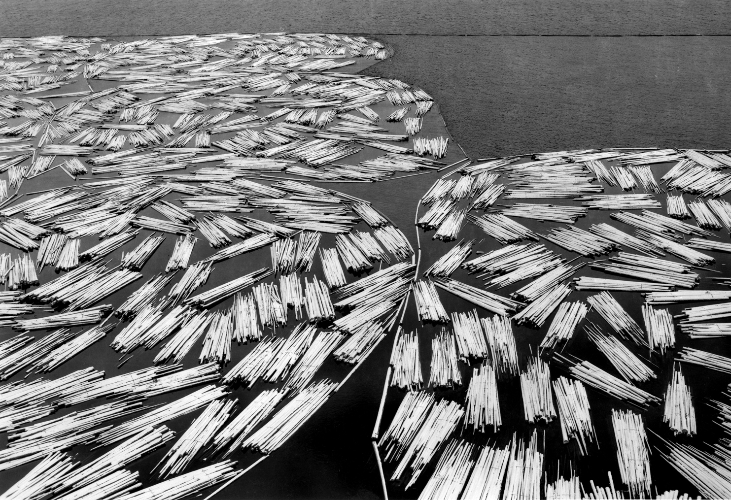 Okanogan lake Log Boom