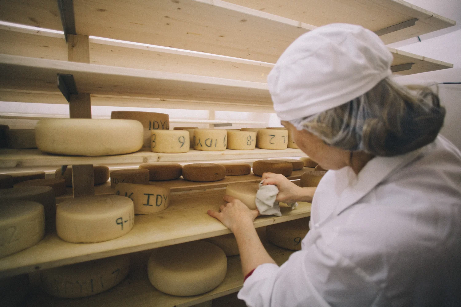 Chevre-0748.jpg